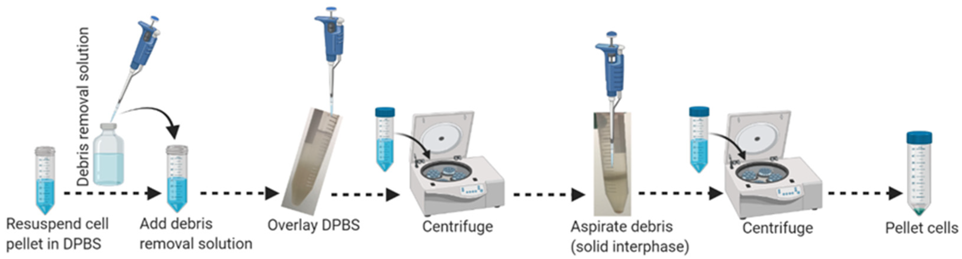 Mps 04 00086 g002 550