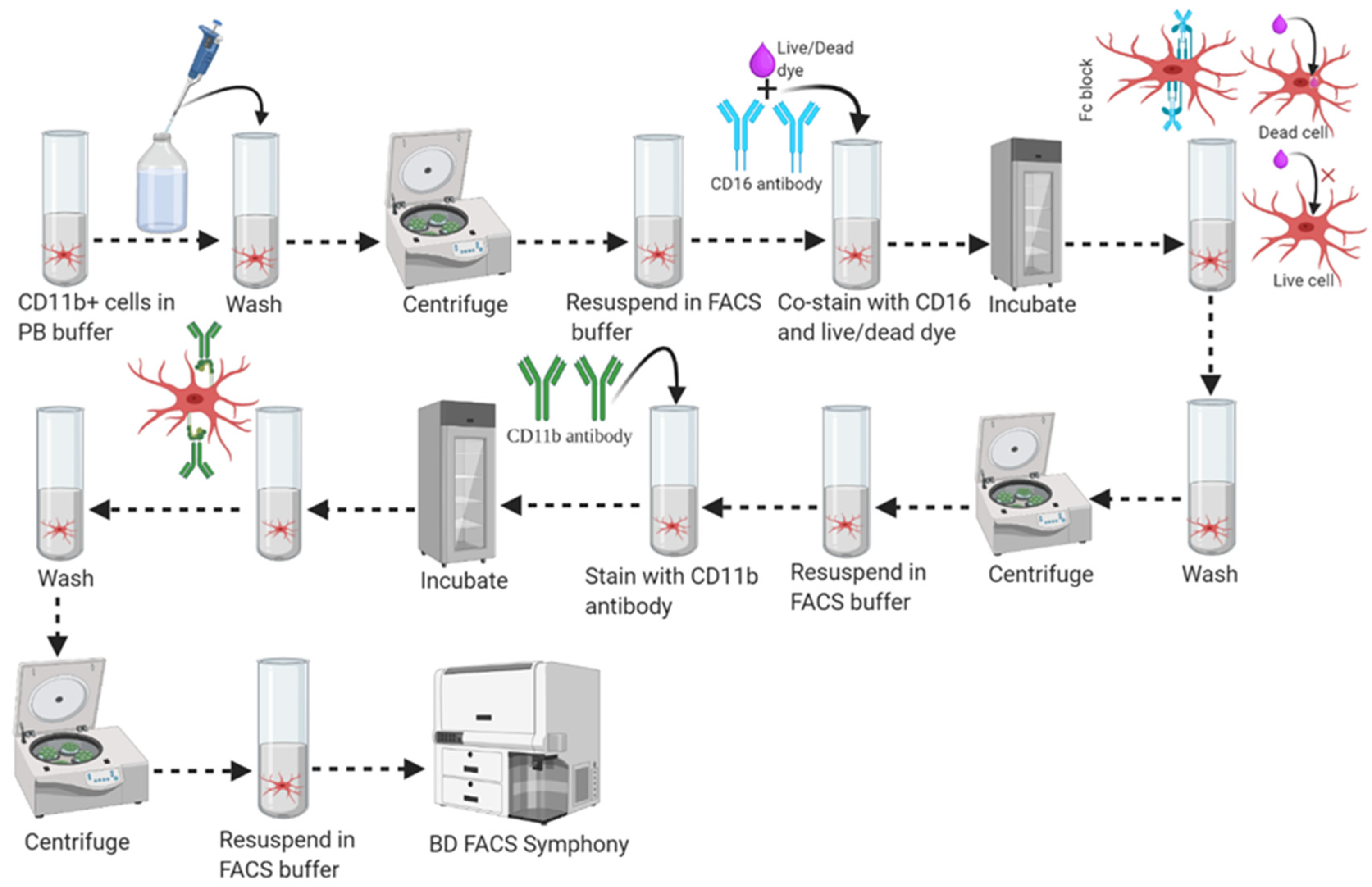 Mps 04 00086 g006 550