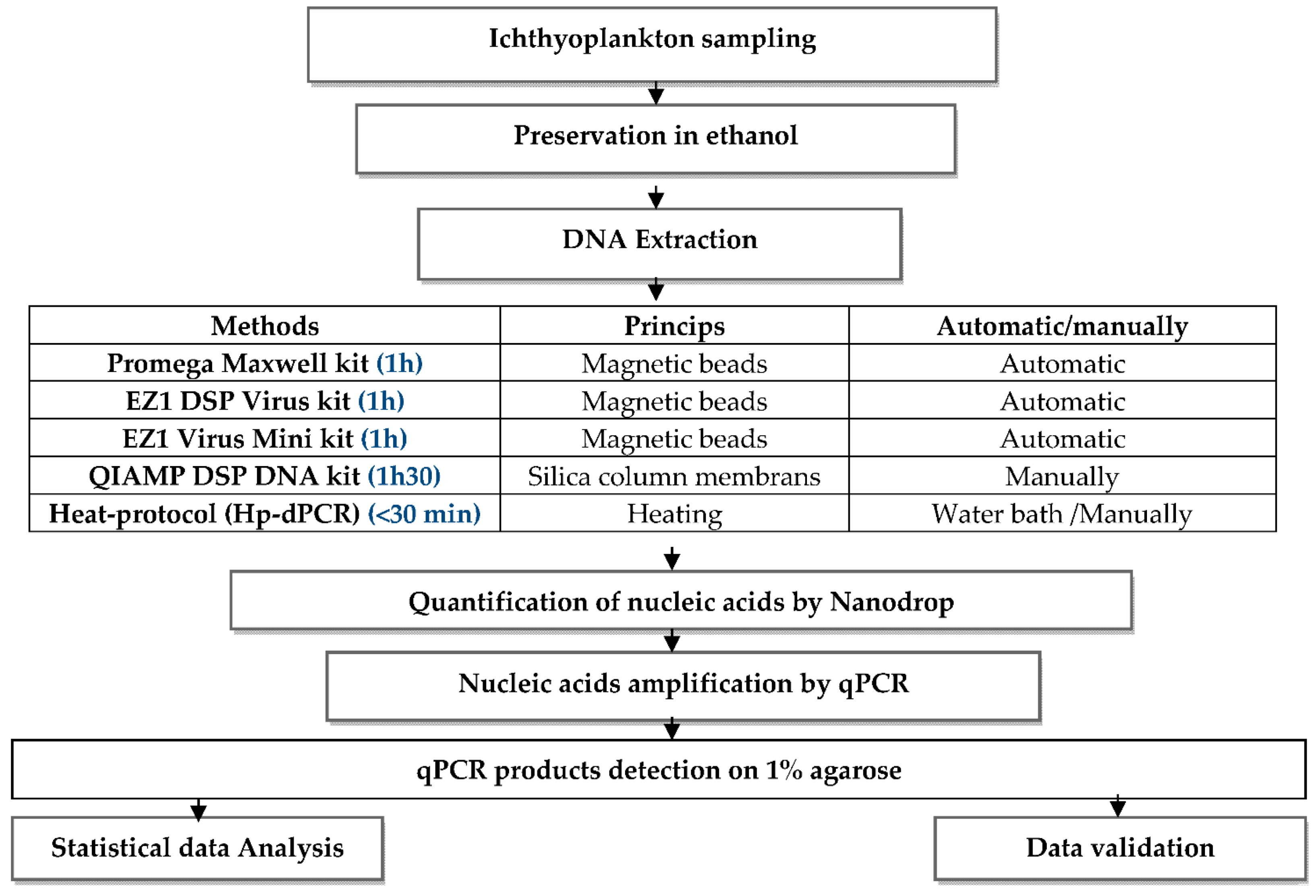 Mps 04 00087 i001 Mps 04 00087 i001