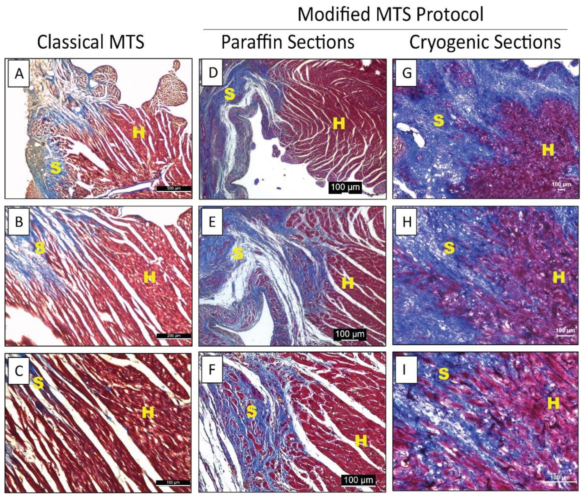 Mps 05 00013 g001 550