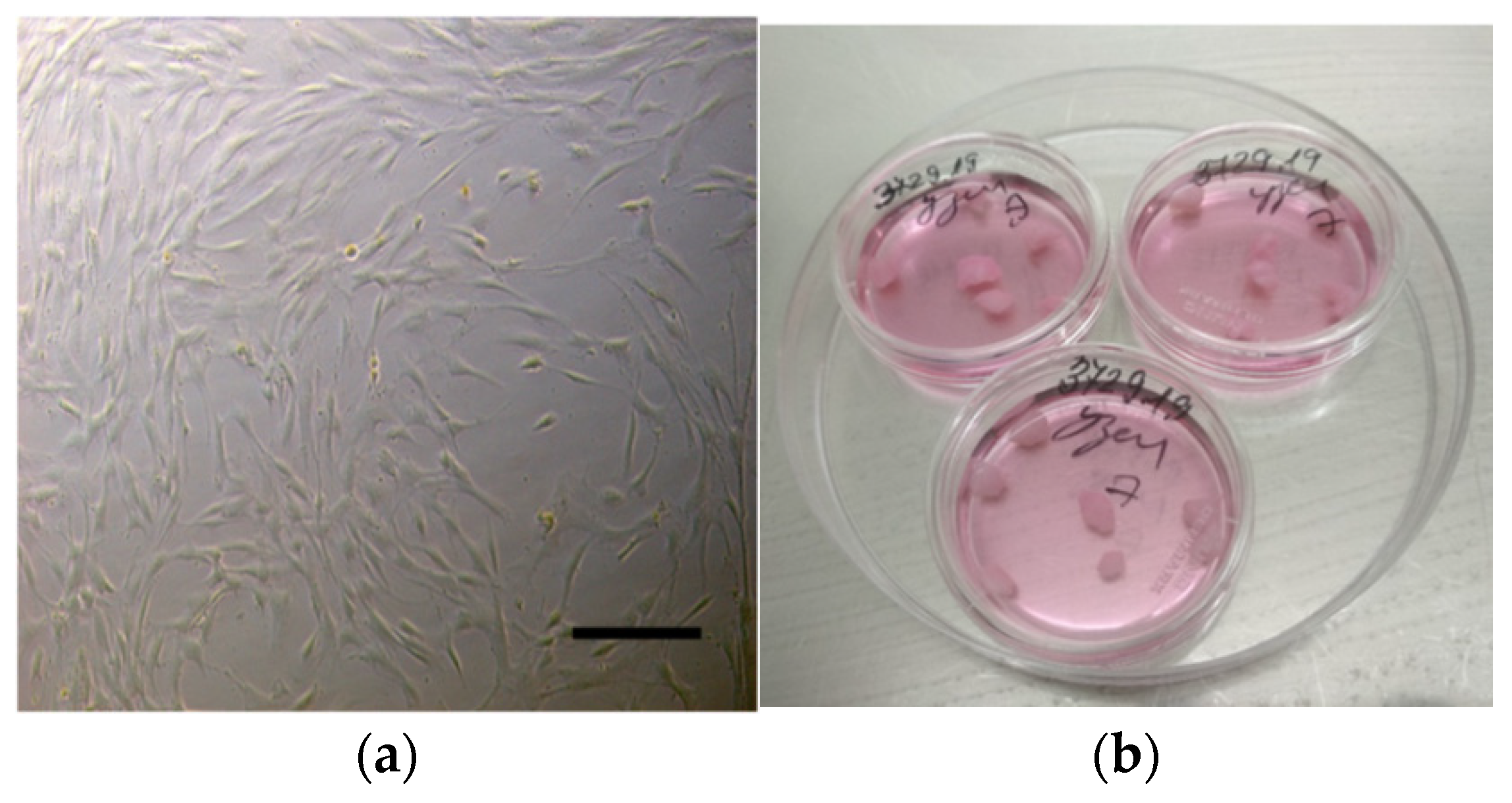 Mps 05 00016 g002 Mps 05 00016 g002