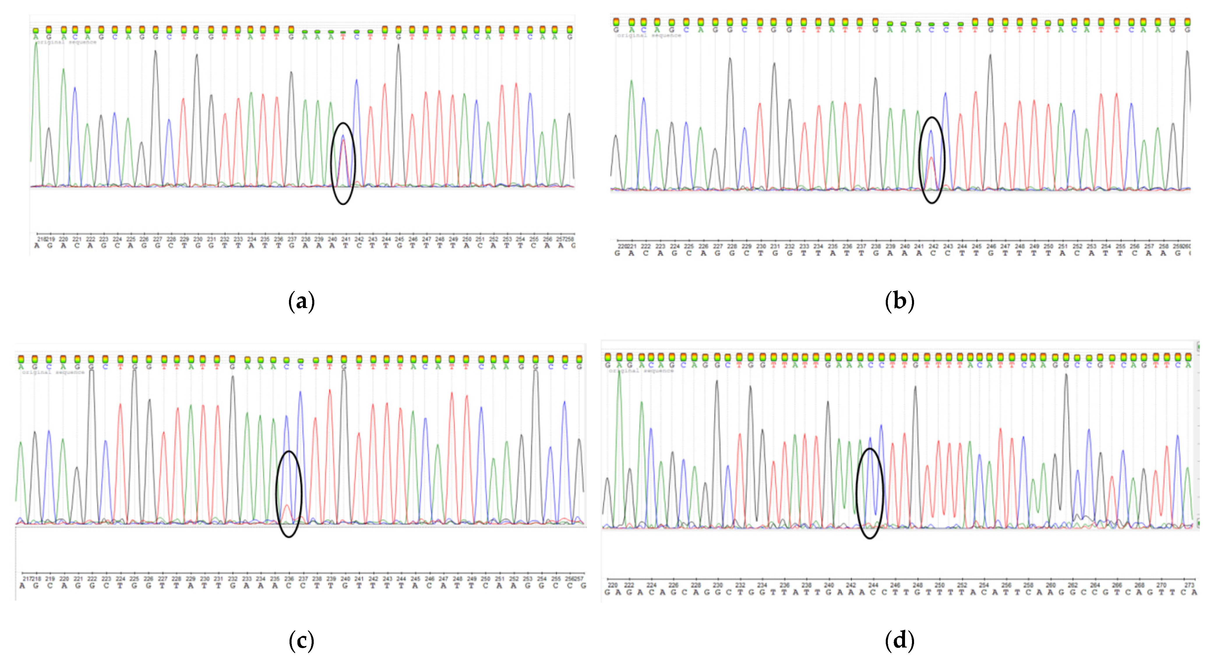 Mps 05 00016 g003 Mps 05 00016 g003