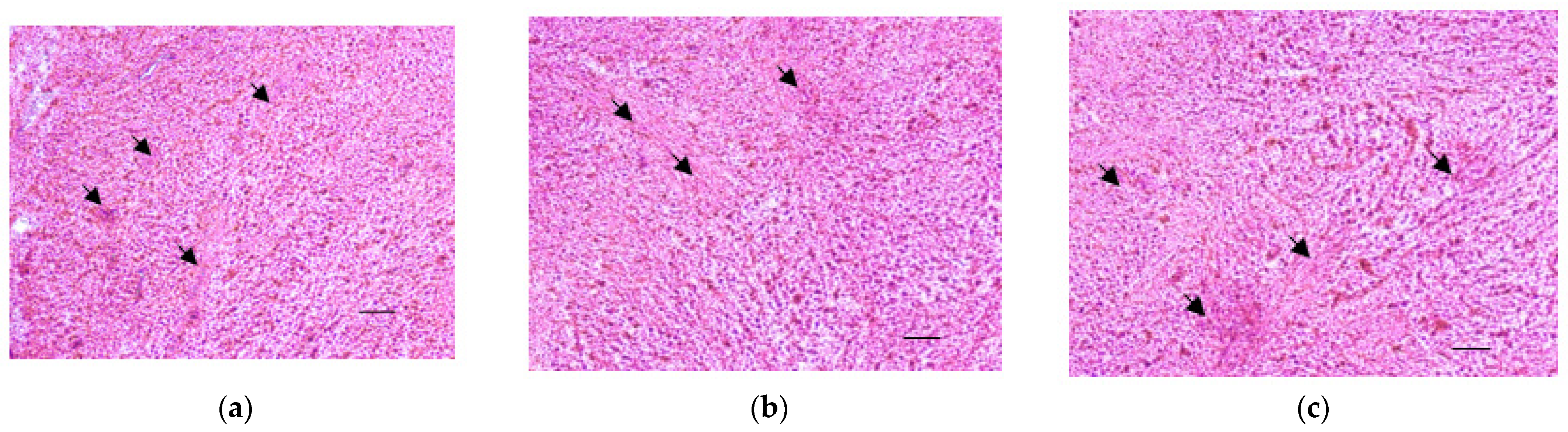 Mps 05 00016 g005 Mps 05 00016 g005