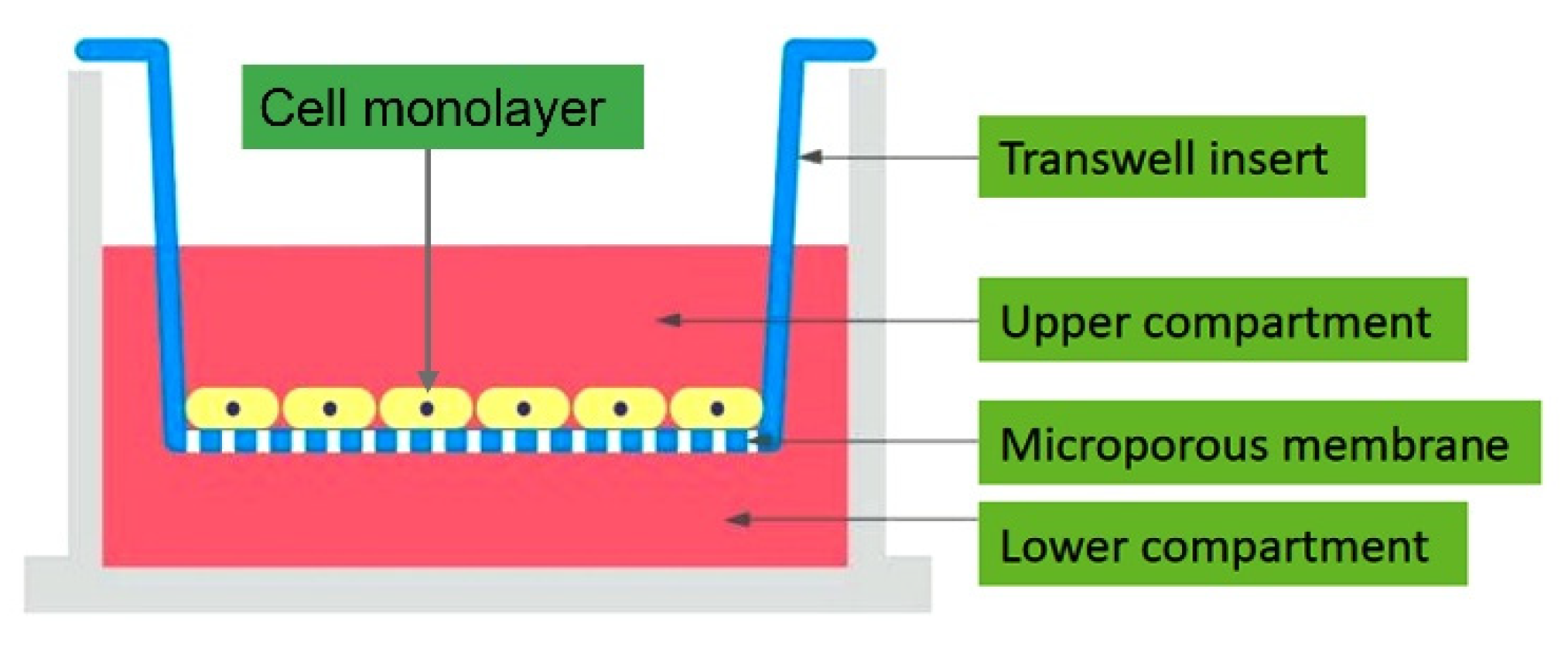 Mps 05 00017 g001 550