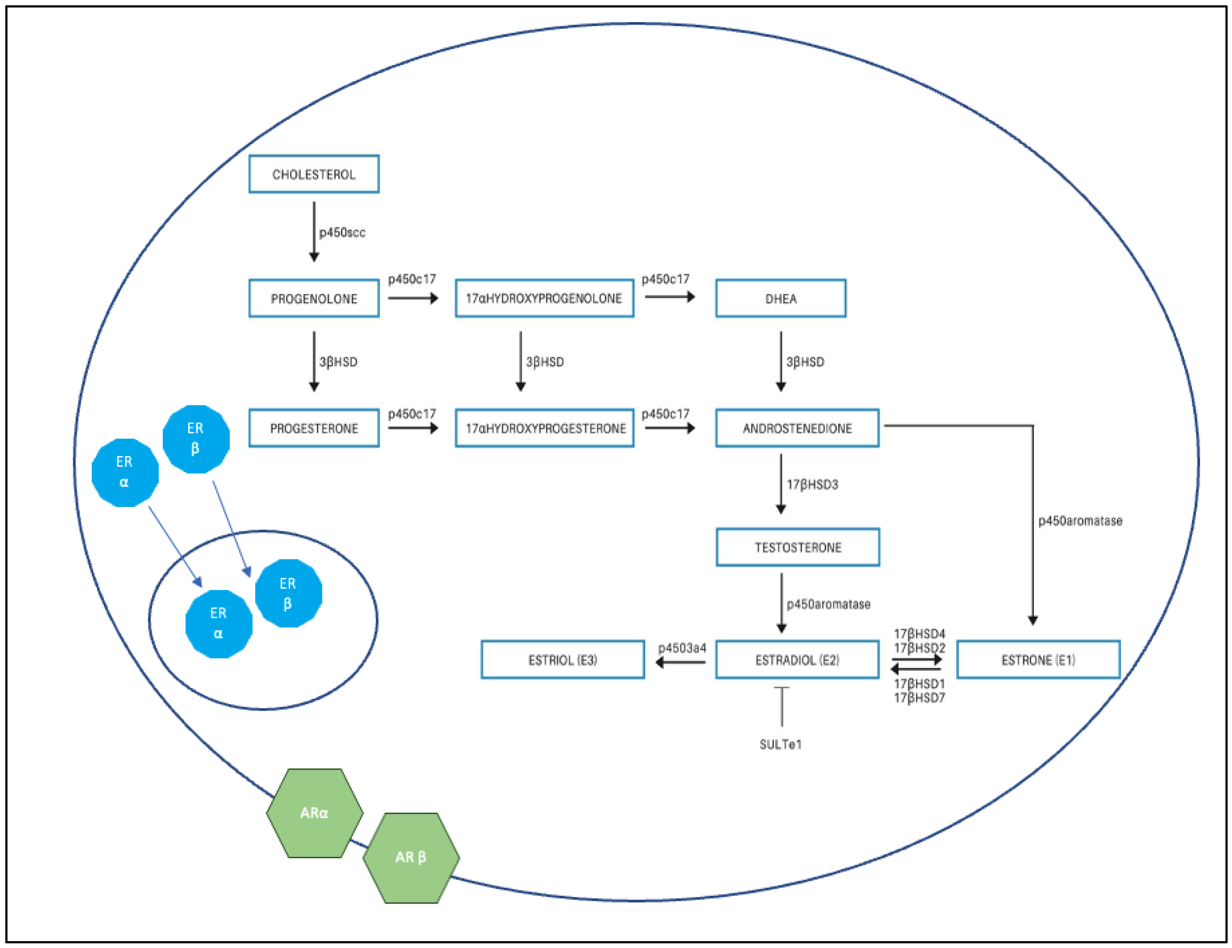 Mps 05 00034 g001 Mps 05 00034 g001