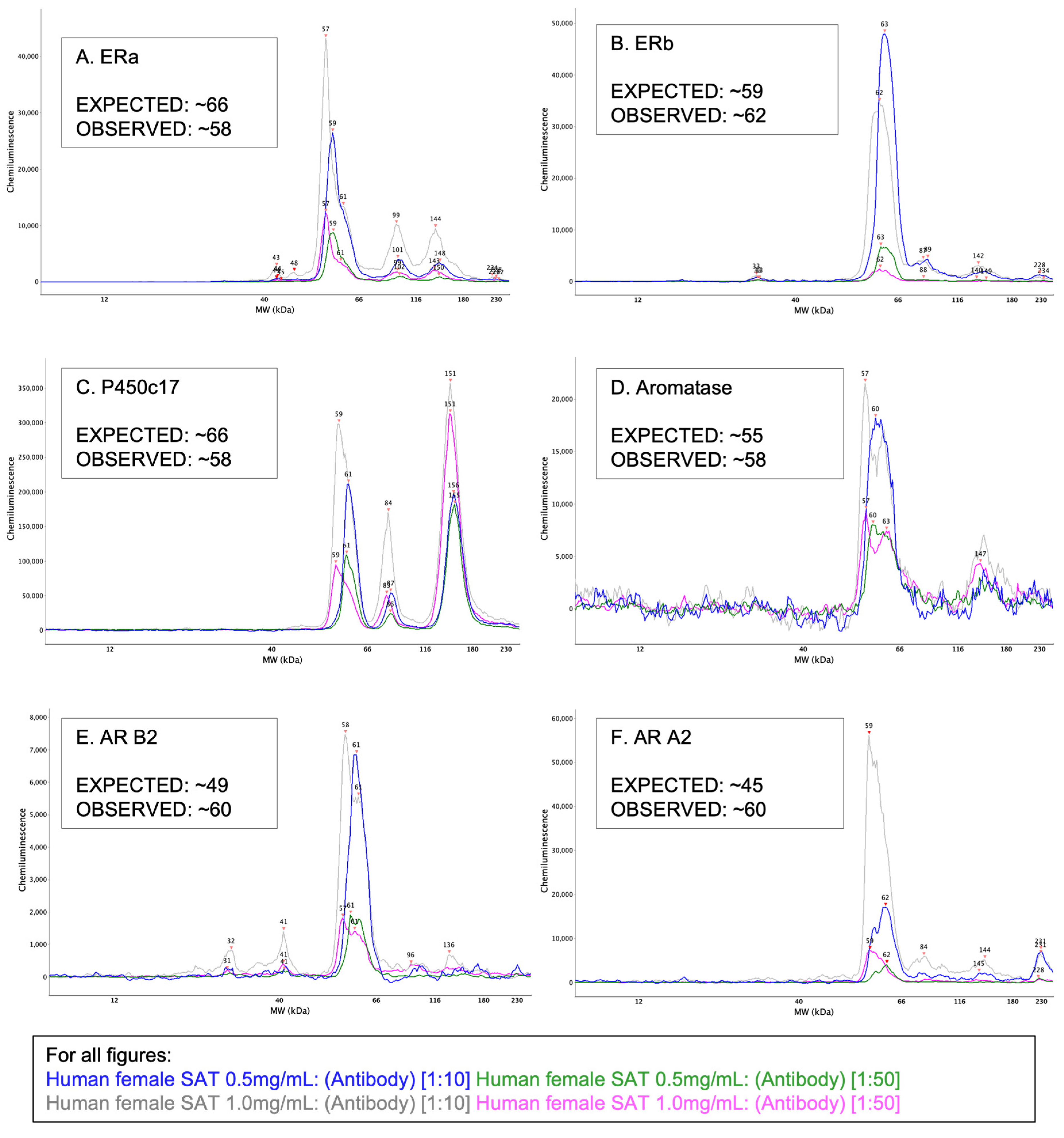 Mps 05 00034 g002 Mps 05 00034 g002