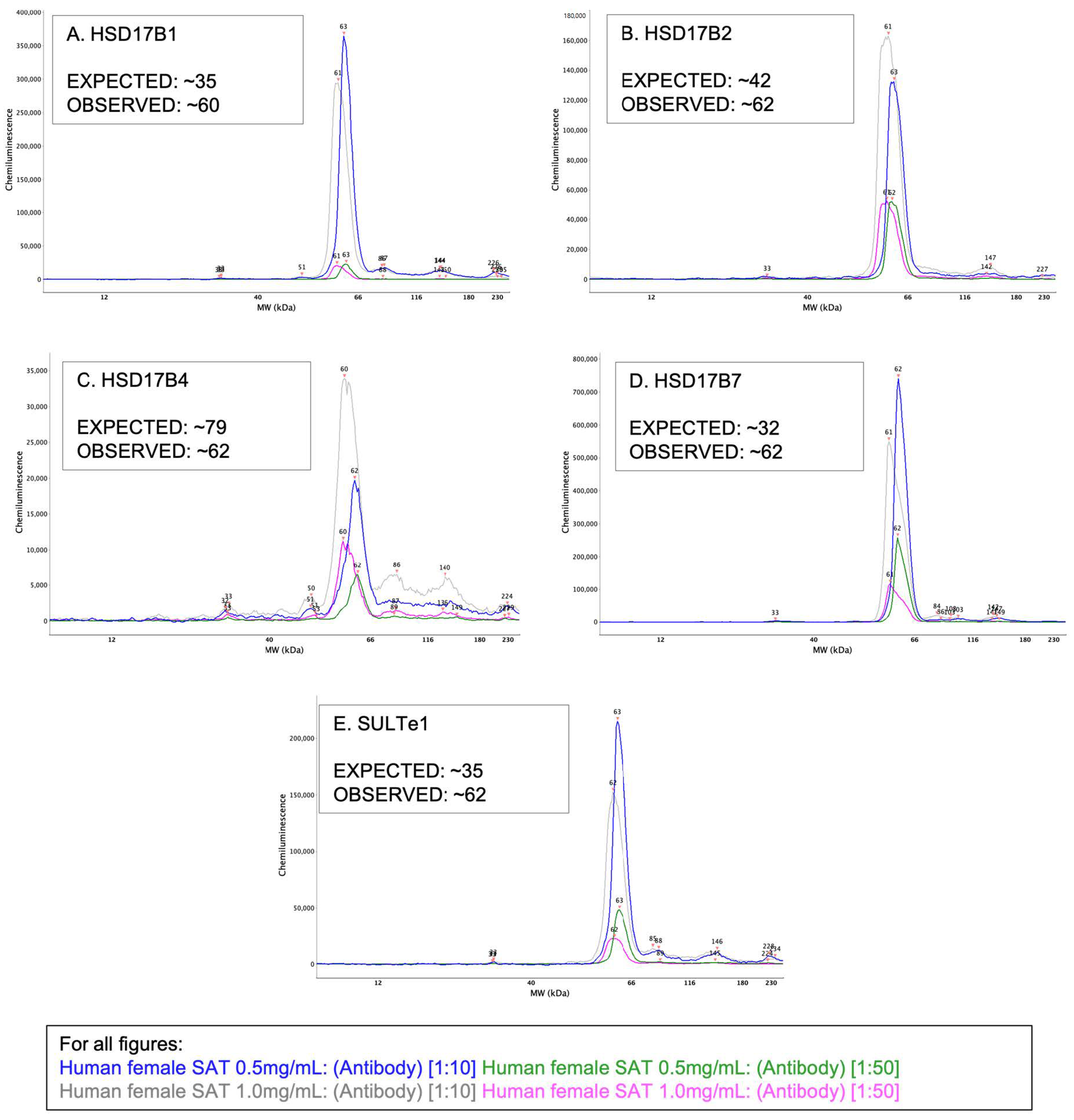 Mps 05 00034 g003 Mps 05 00034 g003
