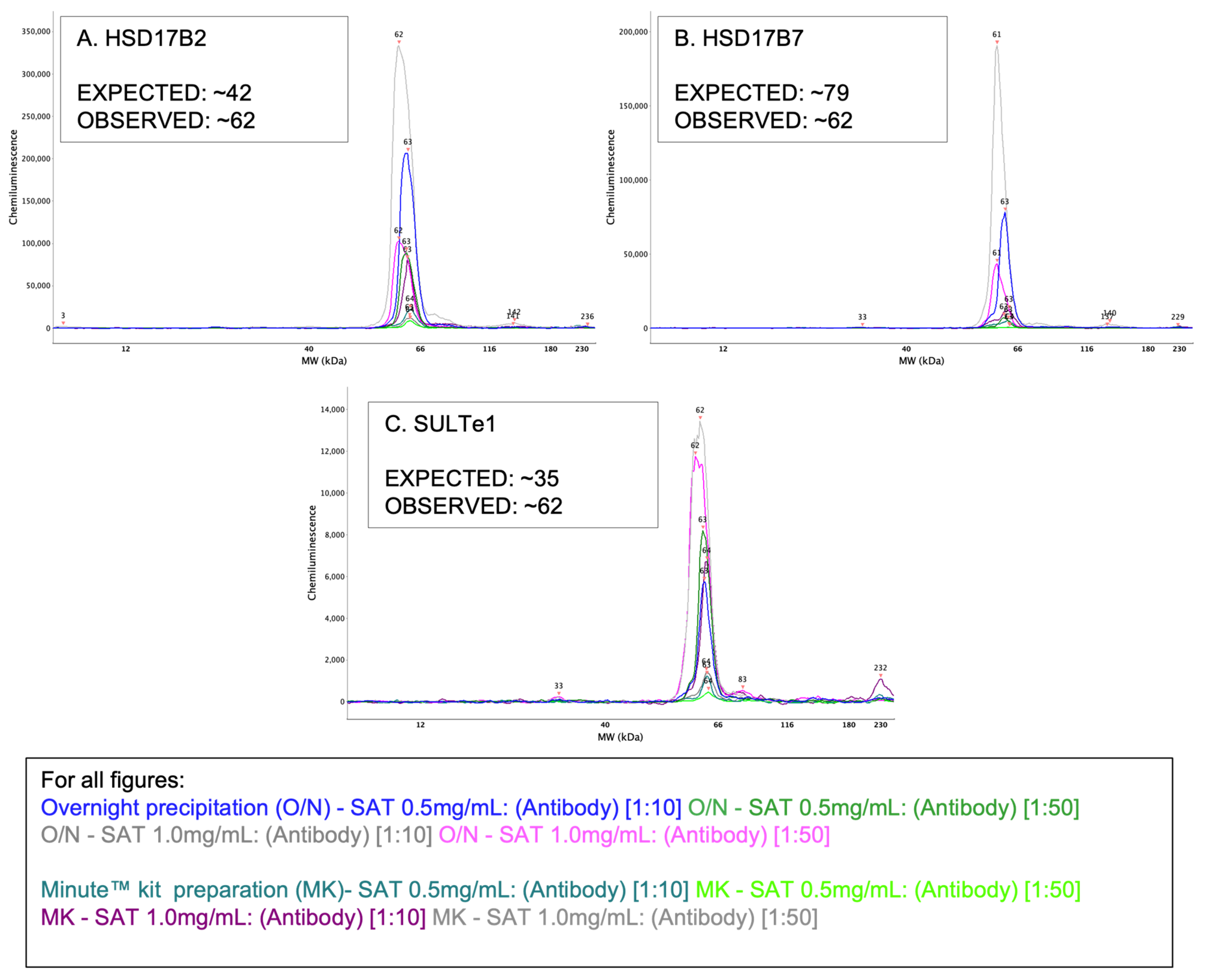Mps 05 00034 g005 Mps 05 00034 g005