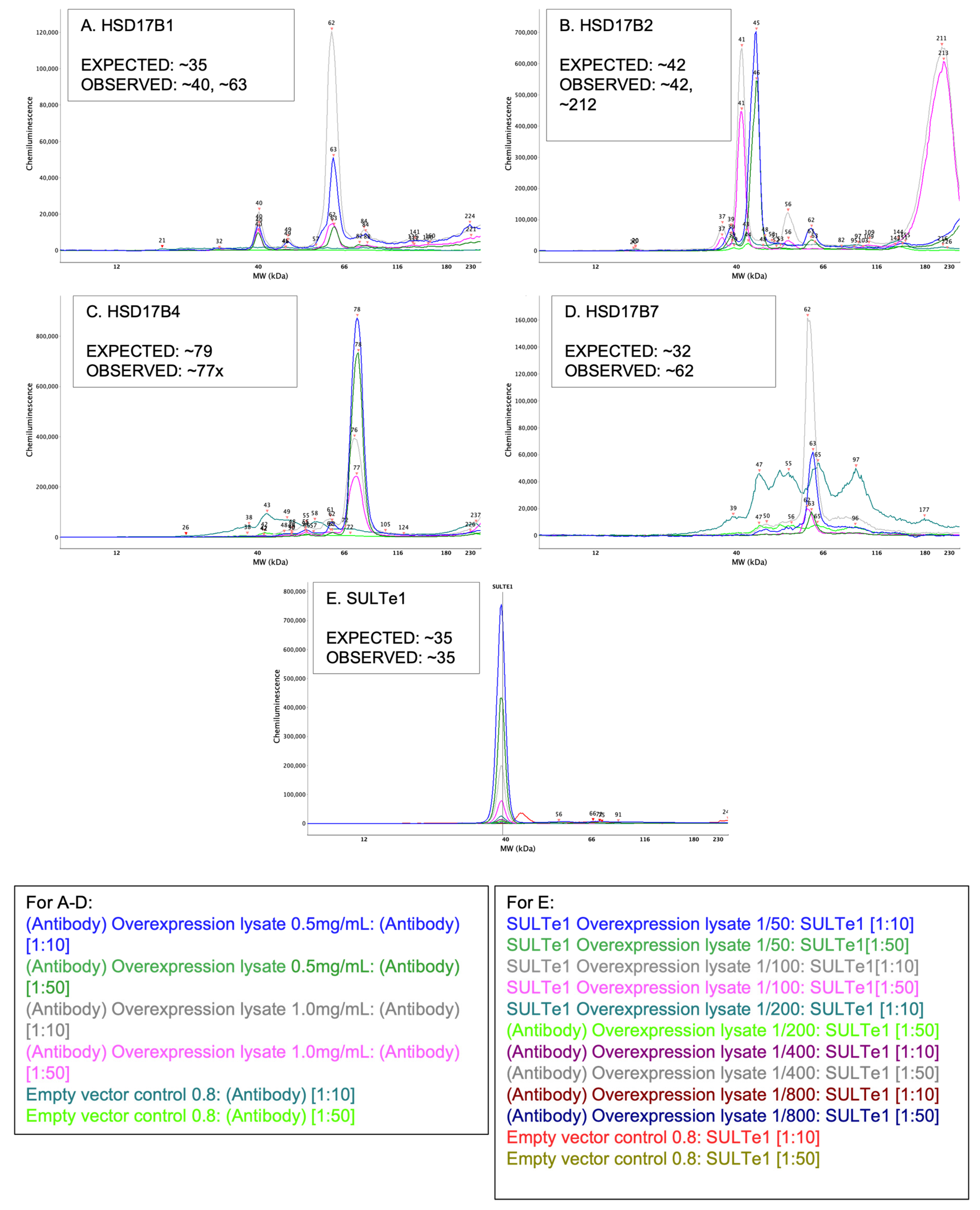 Mps 05 00034 g006 Mps 05 00034 g006