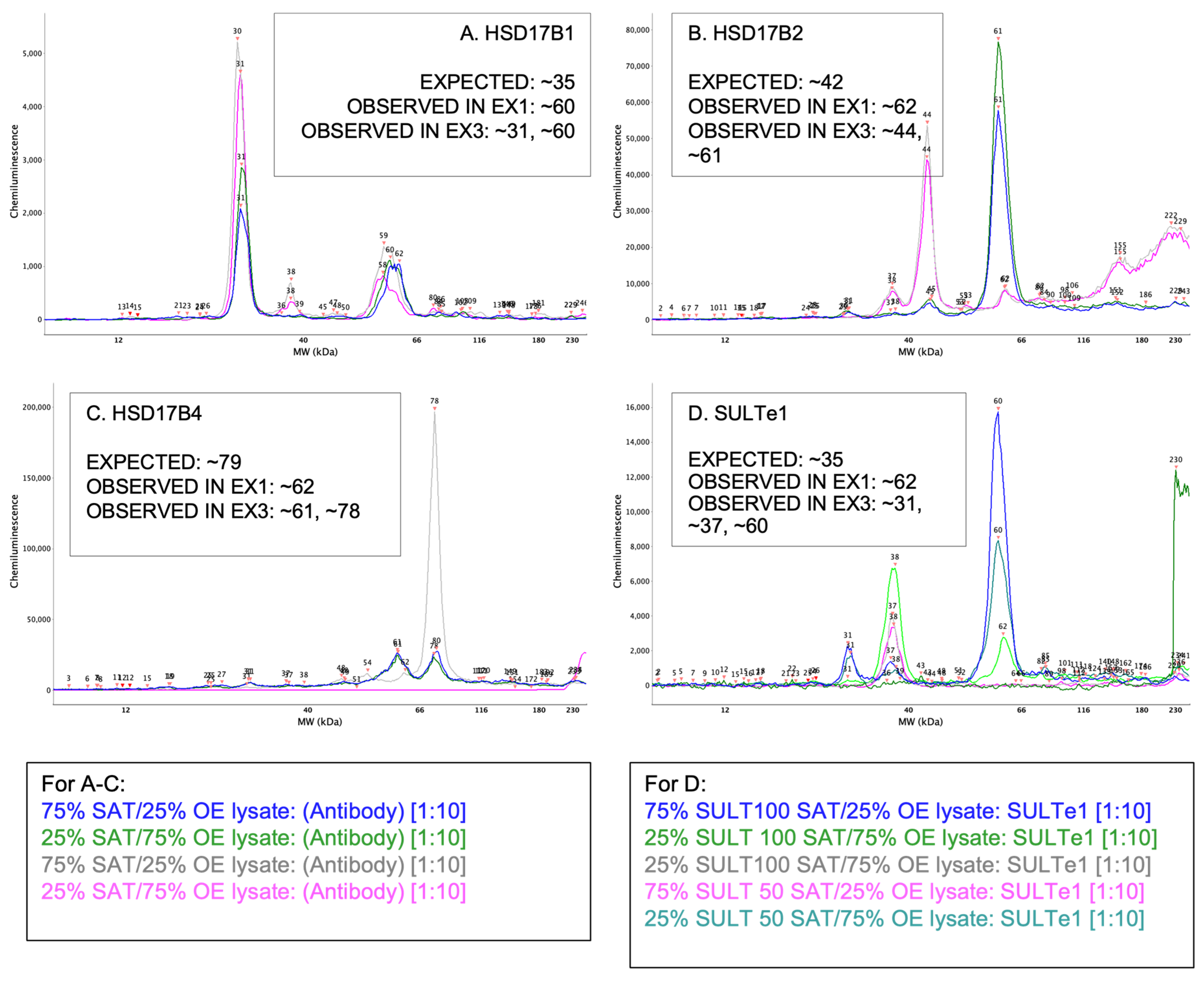 Mps 05 00034 g007 Mps 05 00034 g007