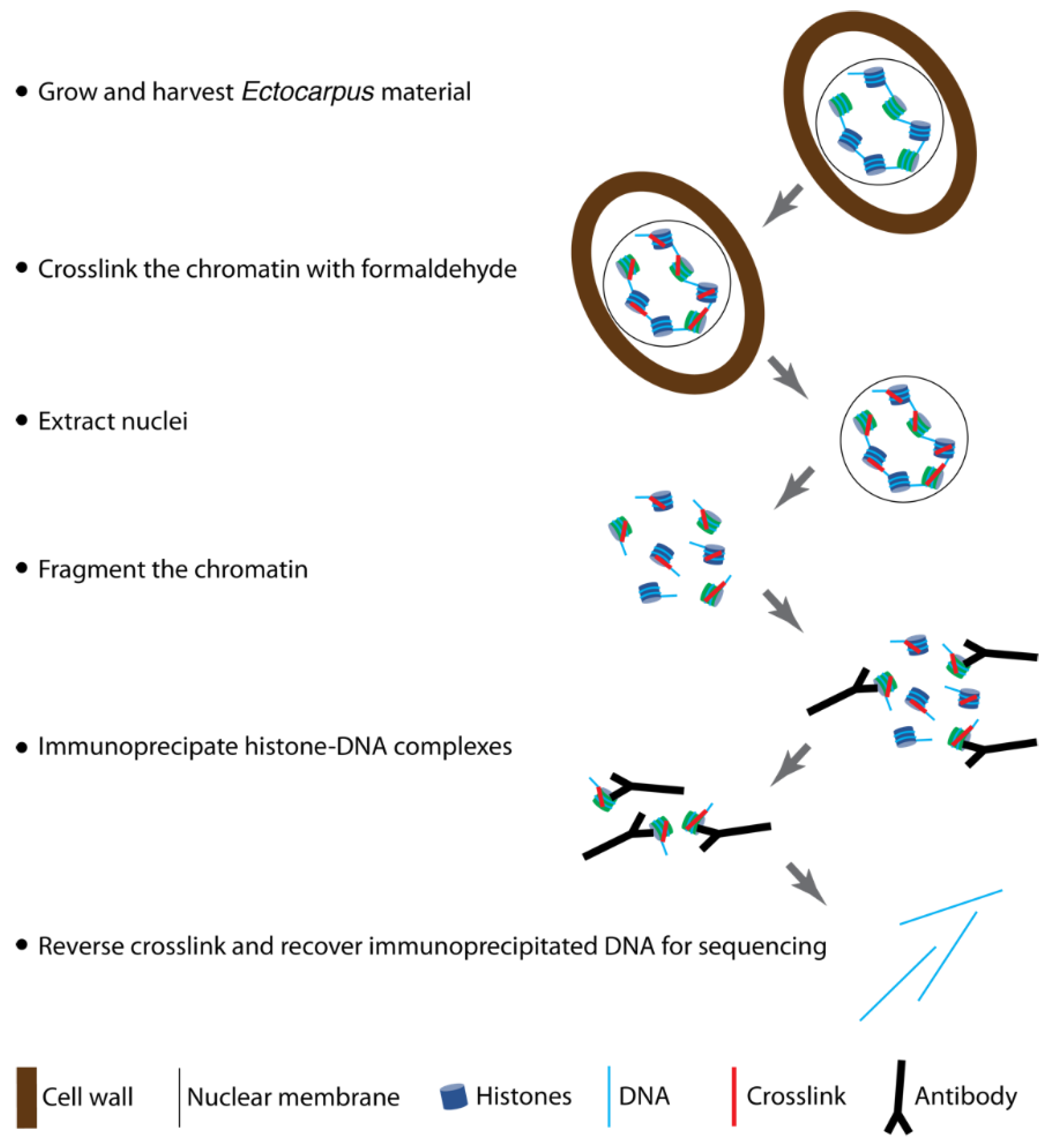 Mps 05 00036 g001 550