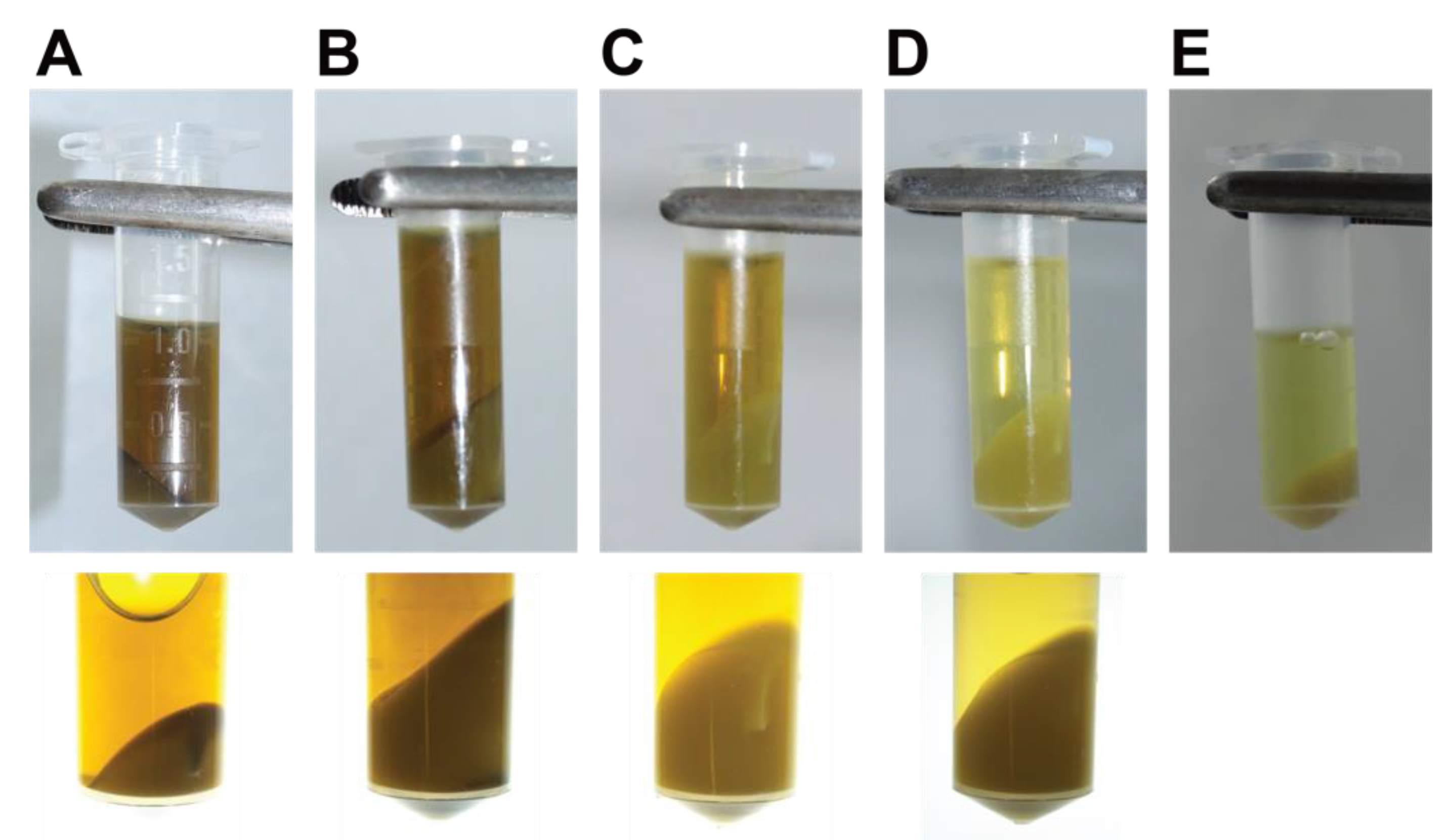 Mps 05 00036 g002 550