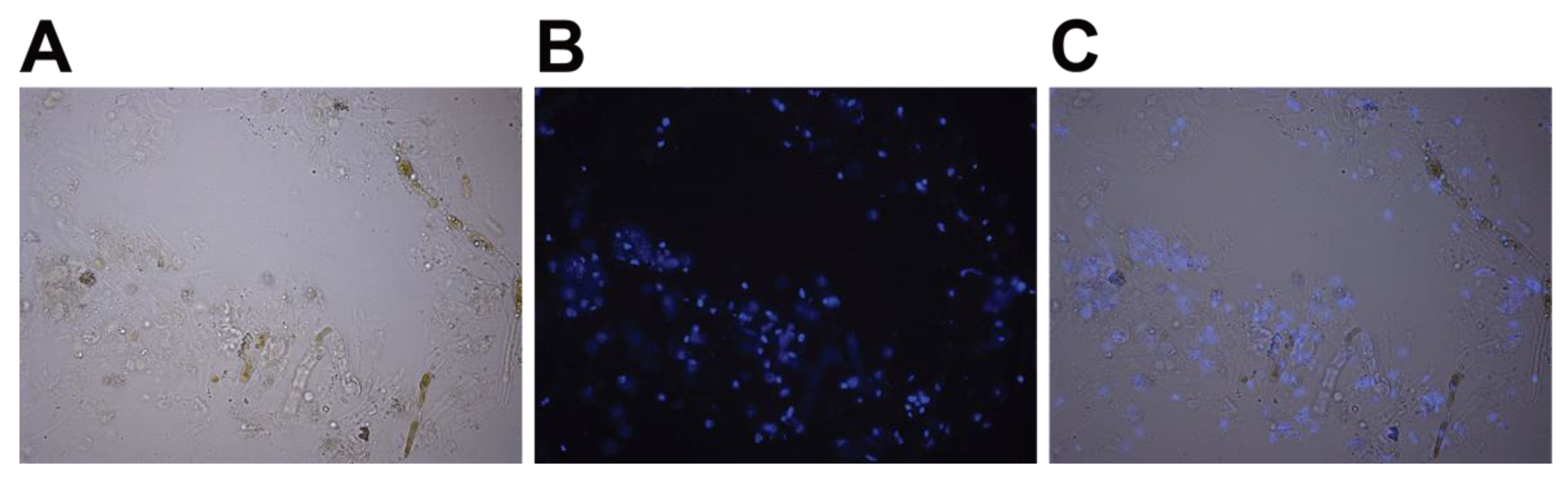 Mps 05 00036 g003 550