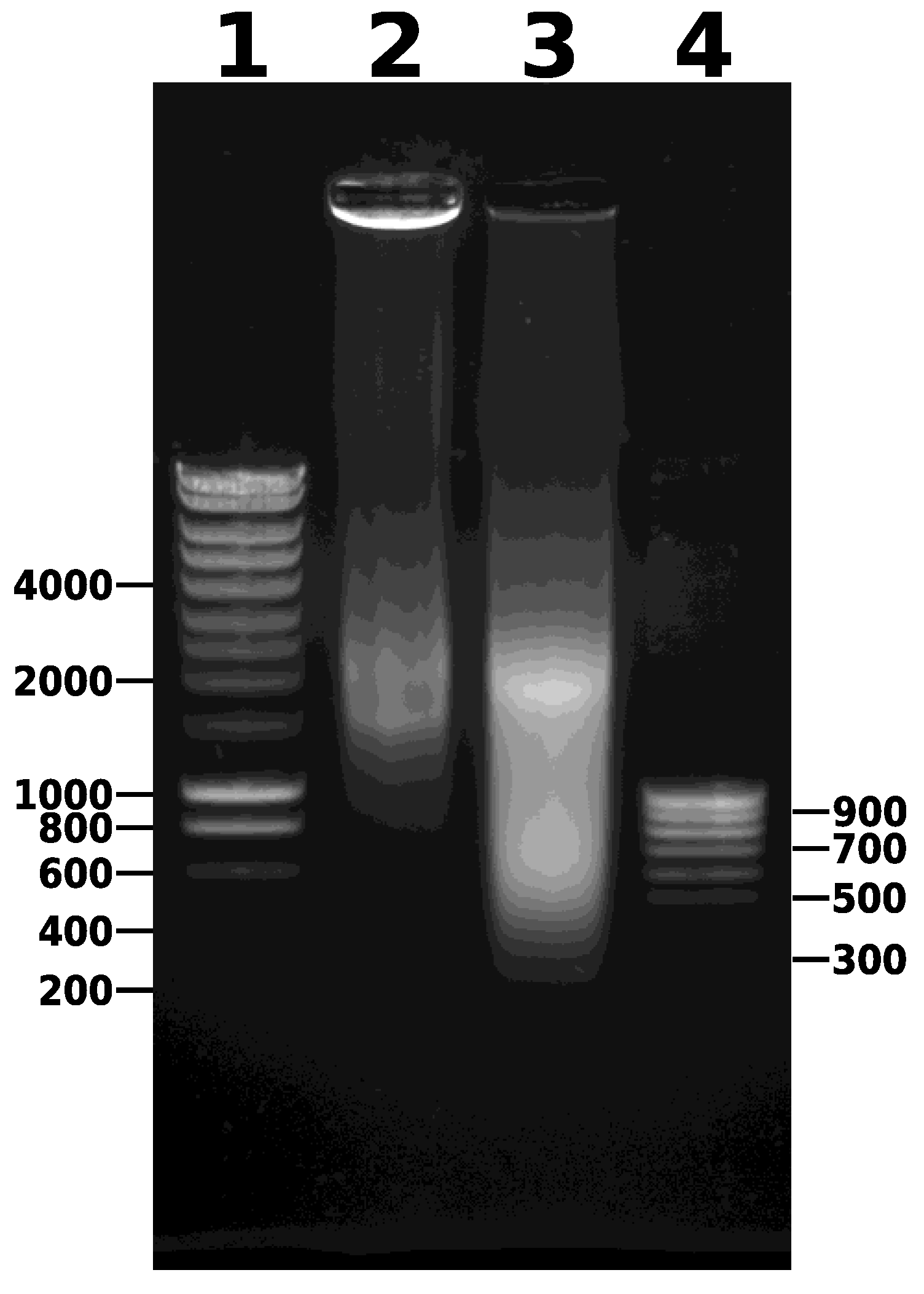 Mps 05 00036 g004 550