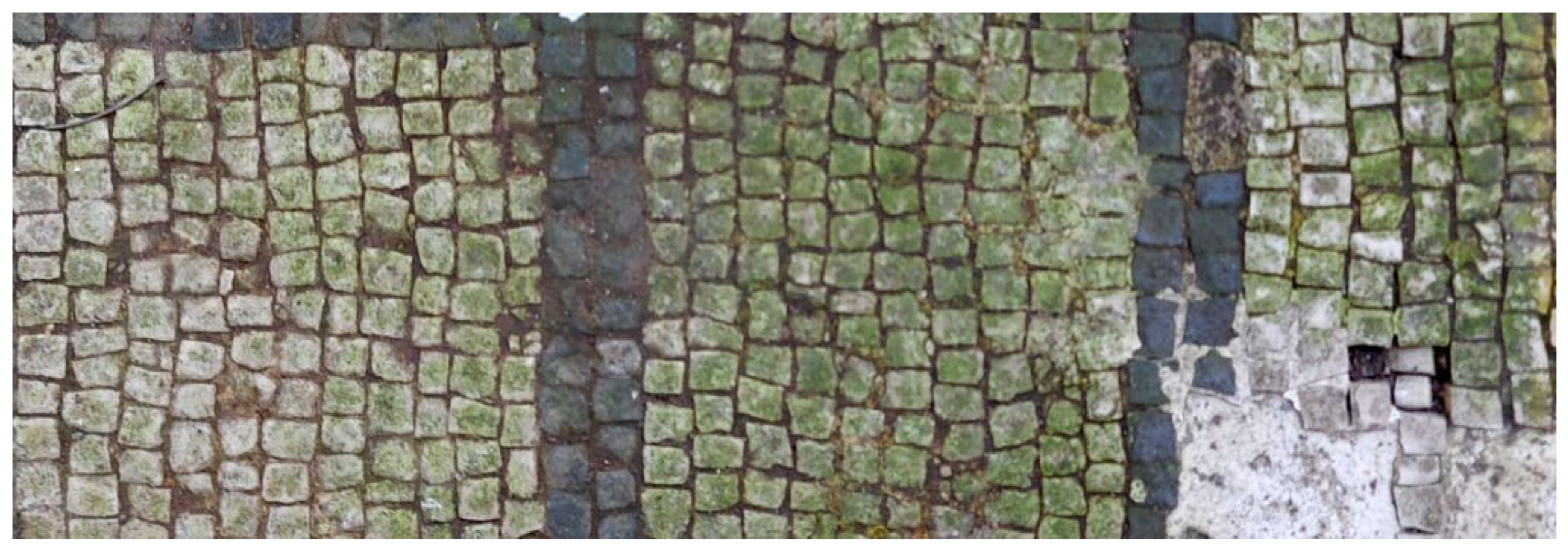 Mps 05 00037 g001 550