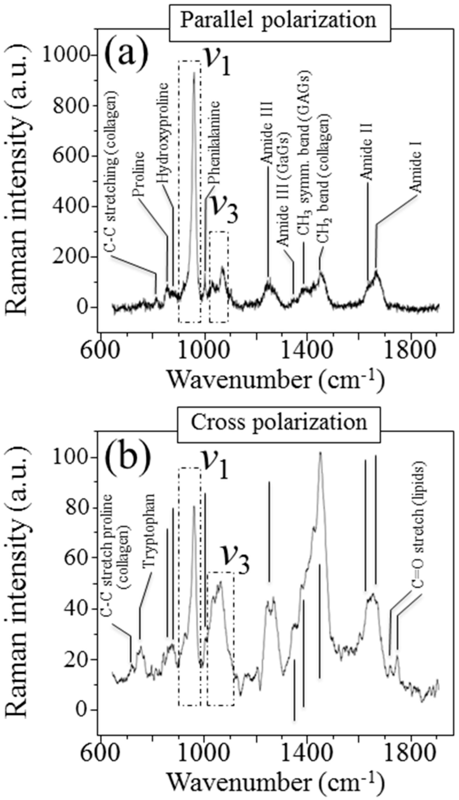 Mps 05 00041 g002 550