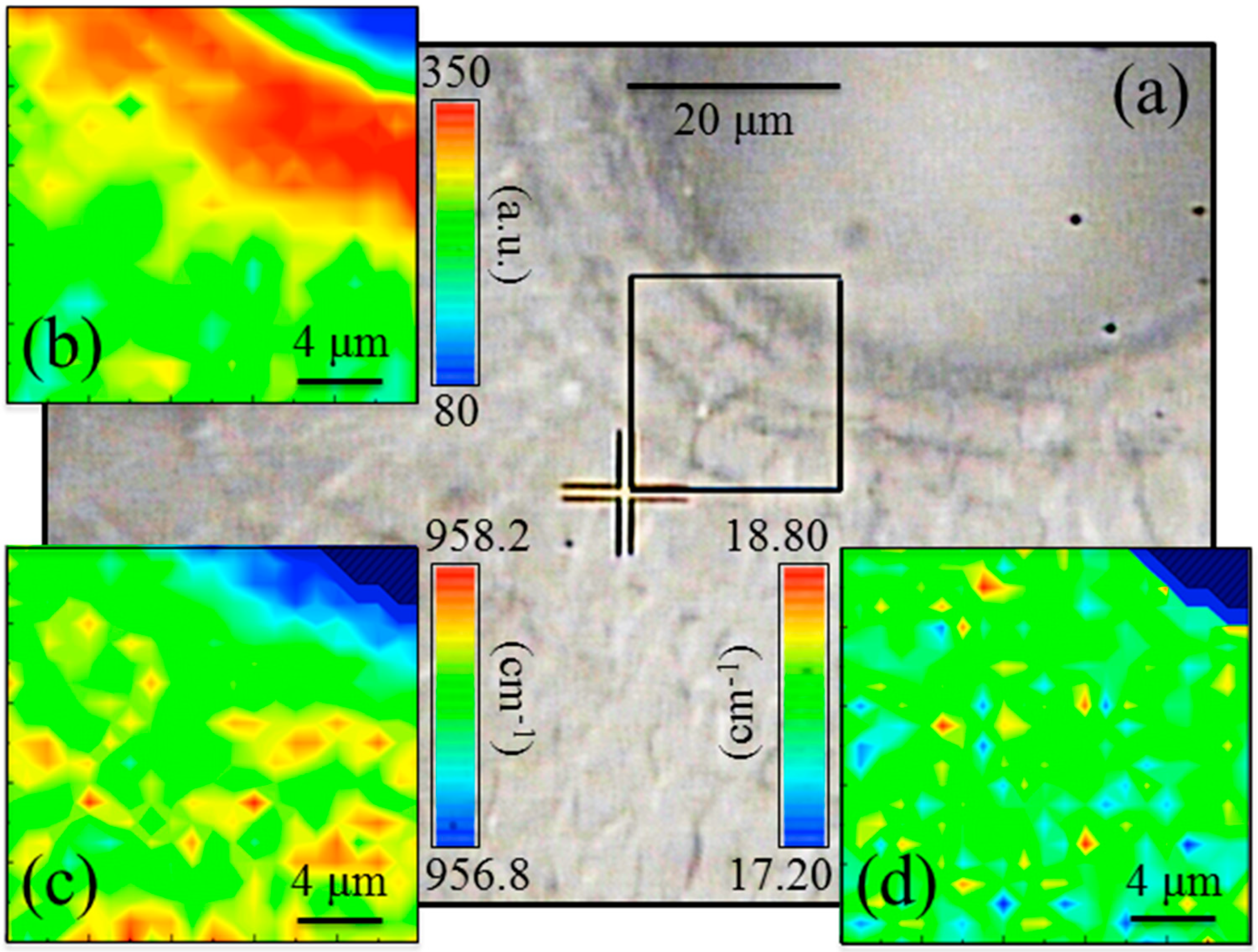 Mps 05 00041 g004 550