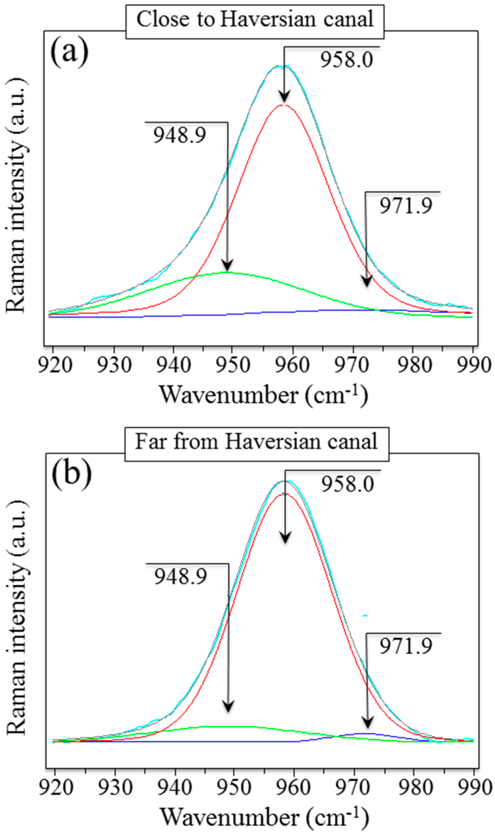 Mps 05 00041 g005 550