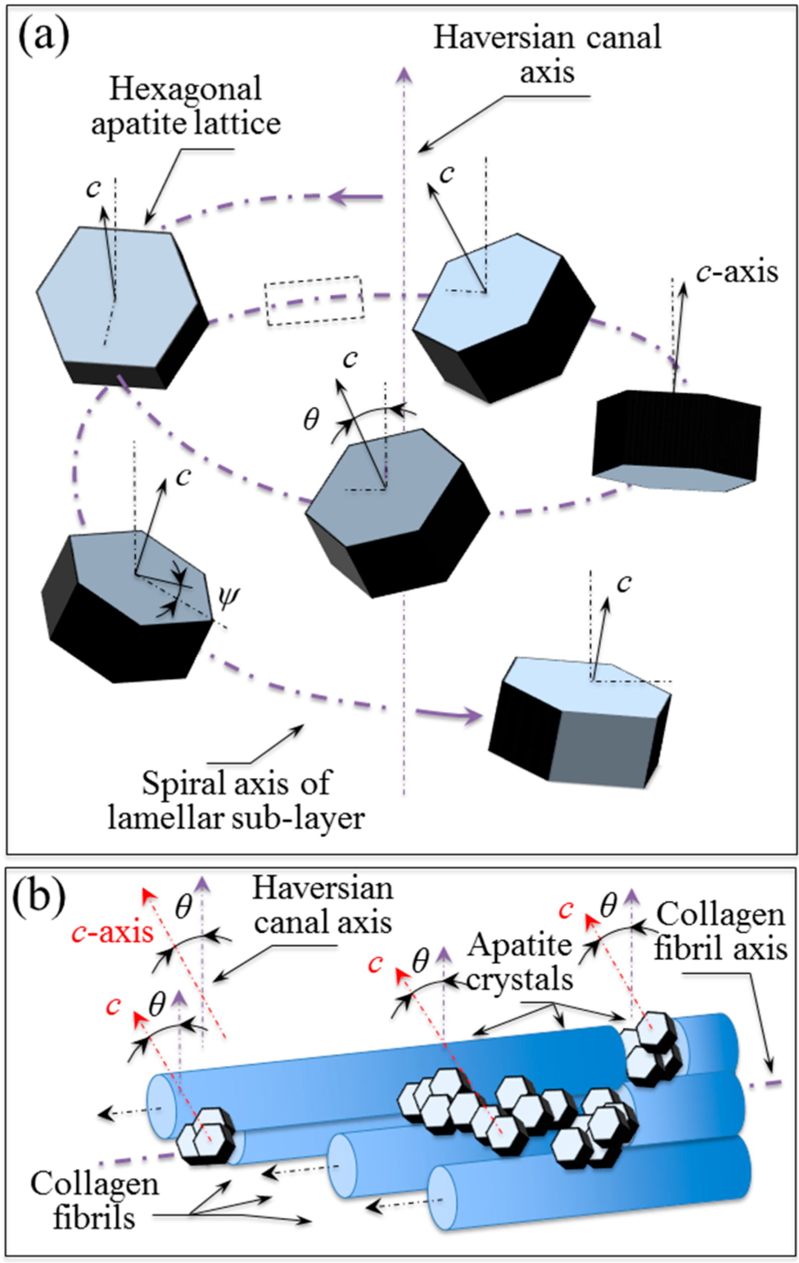 Mps 05 00041 g007 550