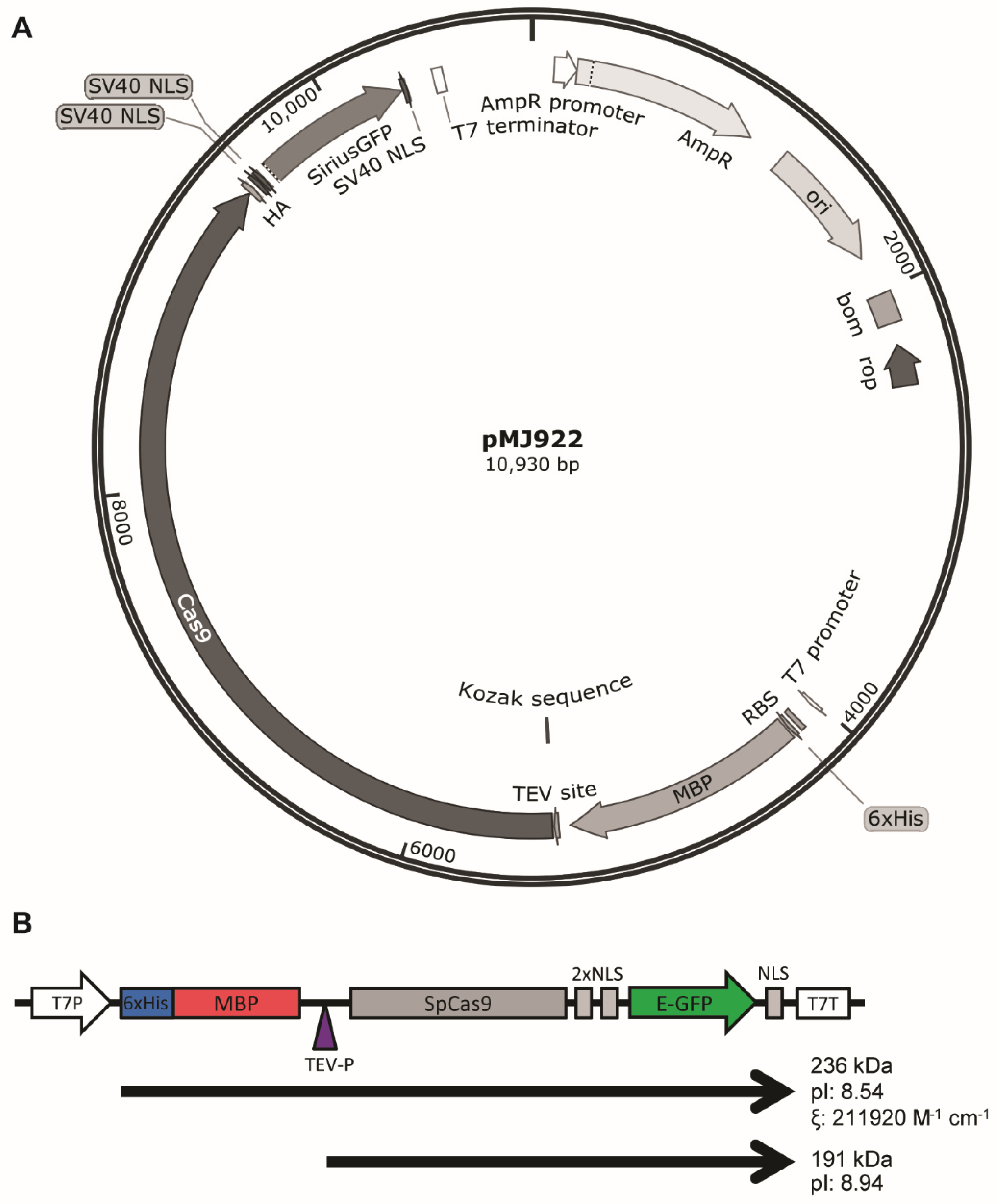 Mps 05 00044 g001 550