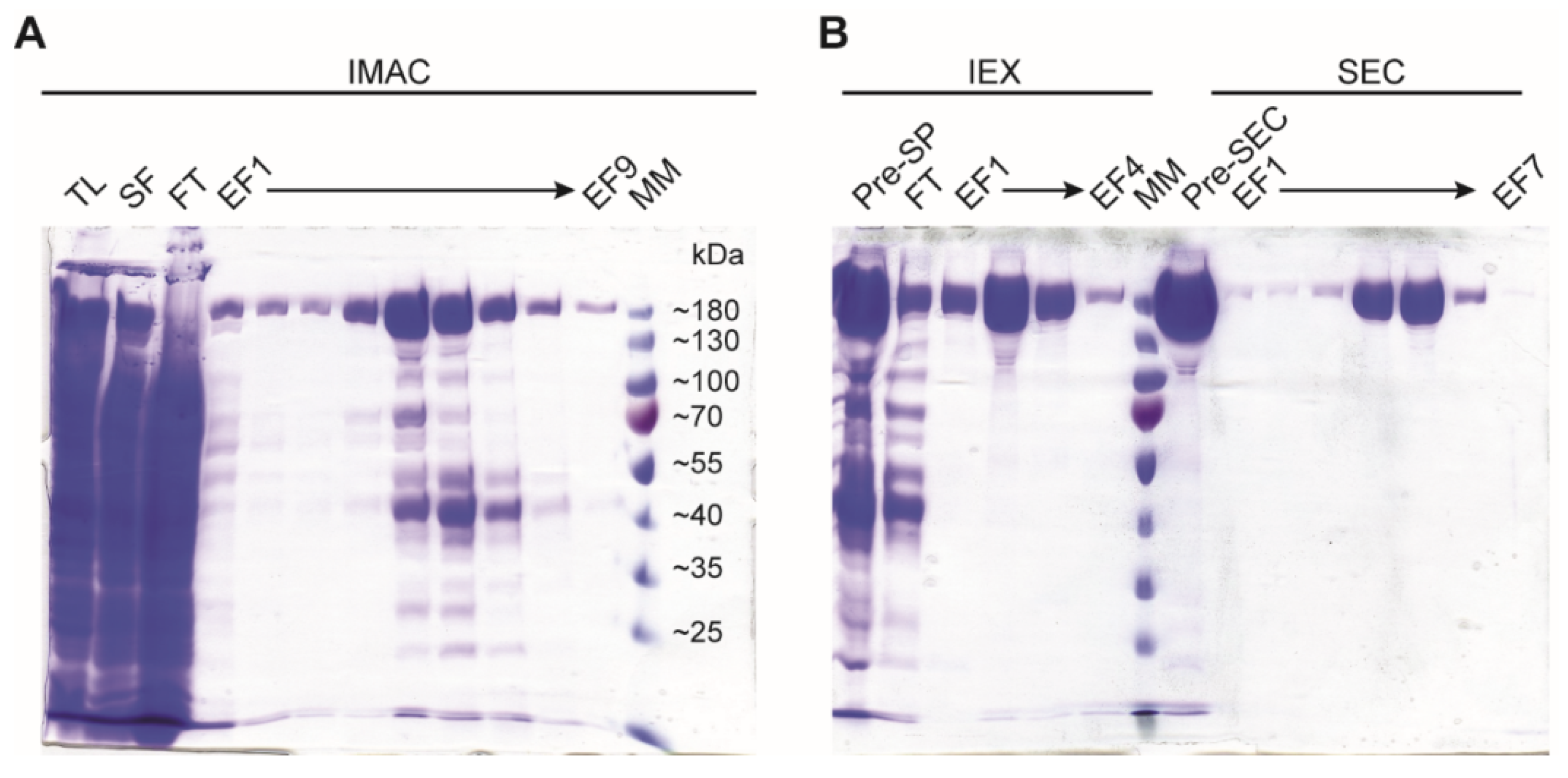 Mps 05 00044 g003 550