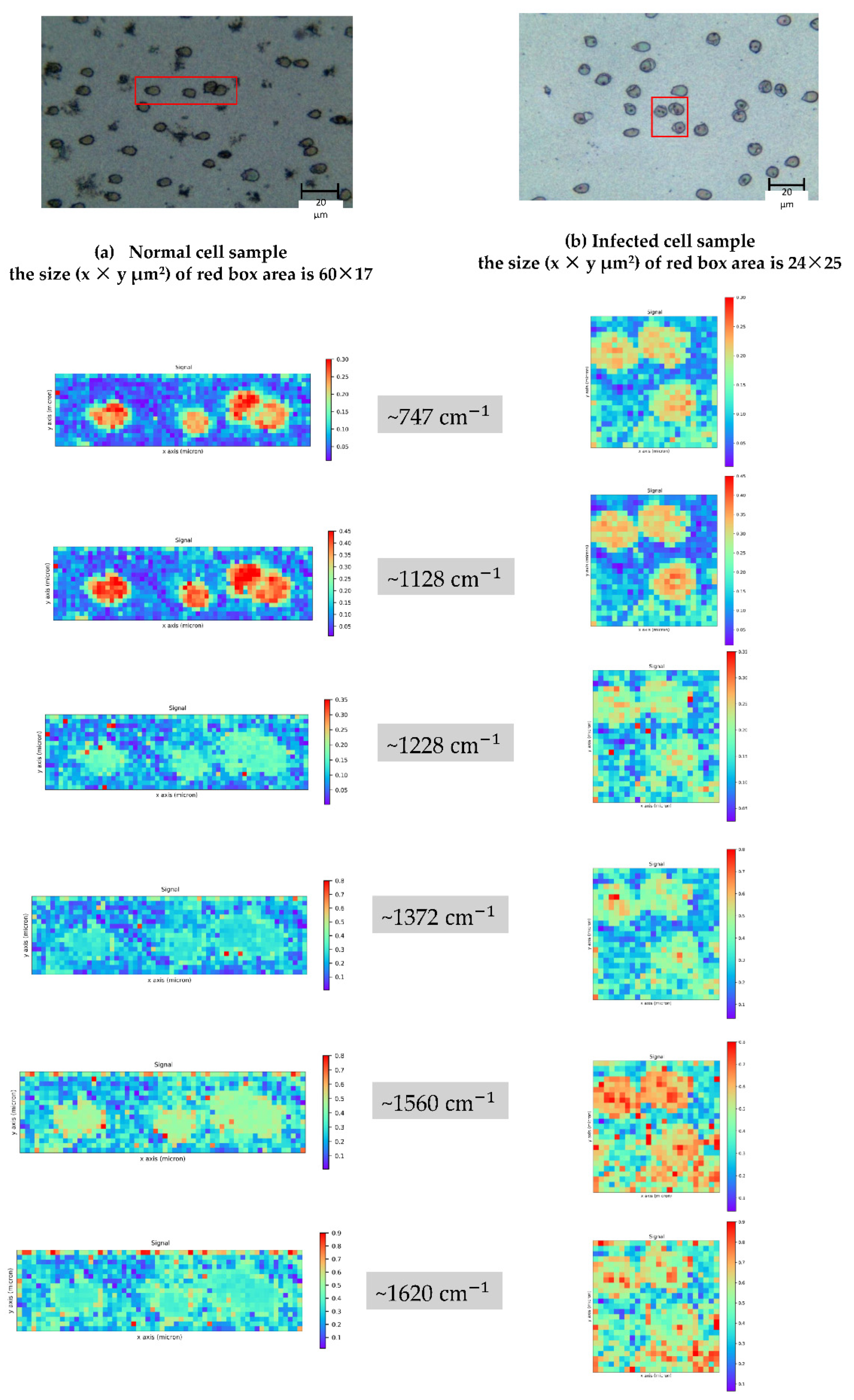 Mps 05 00049 g002 550