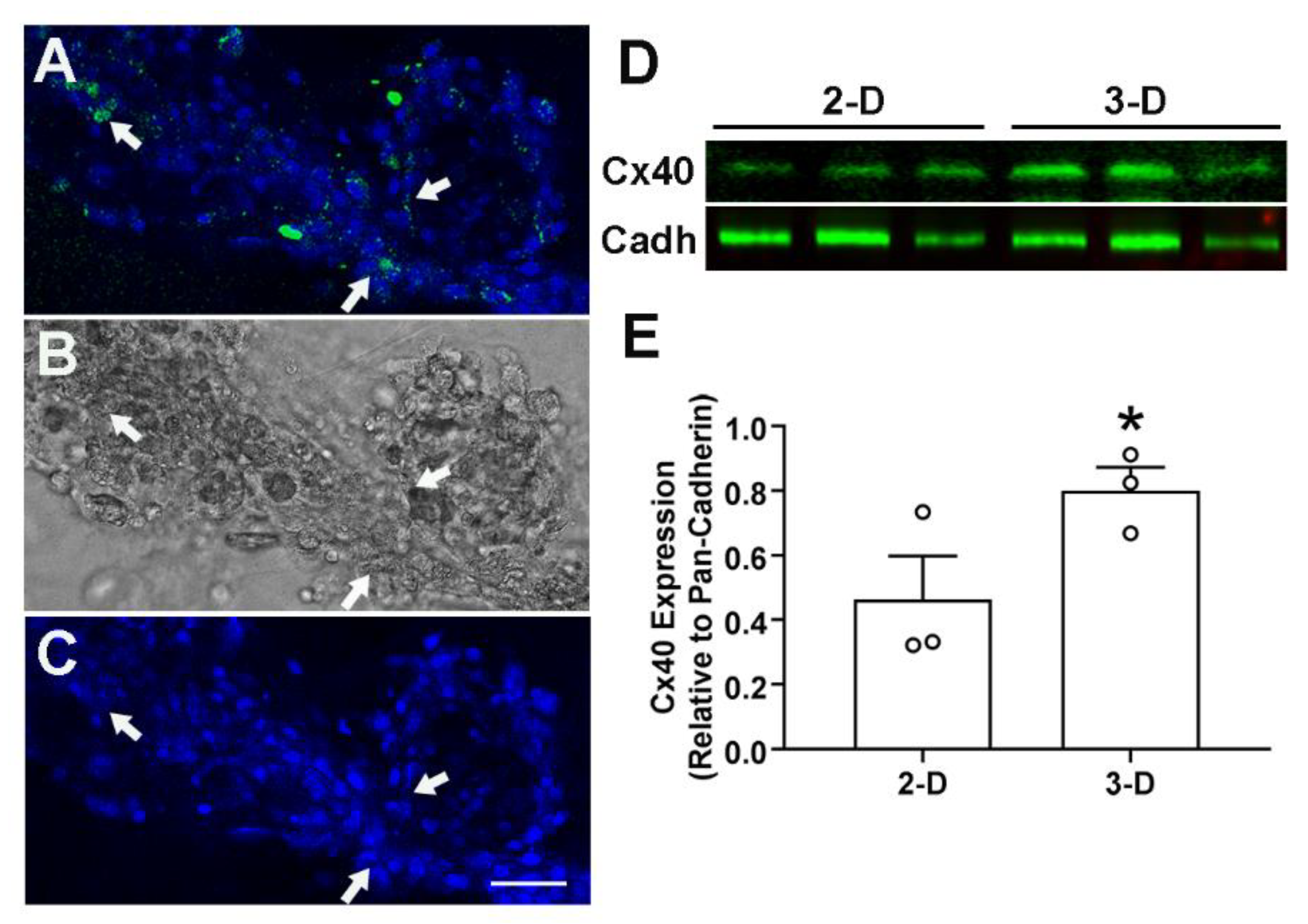 Mps 05 00050 g003 550