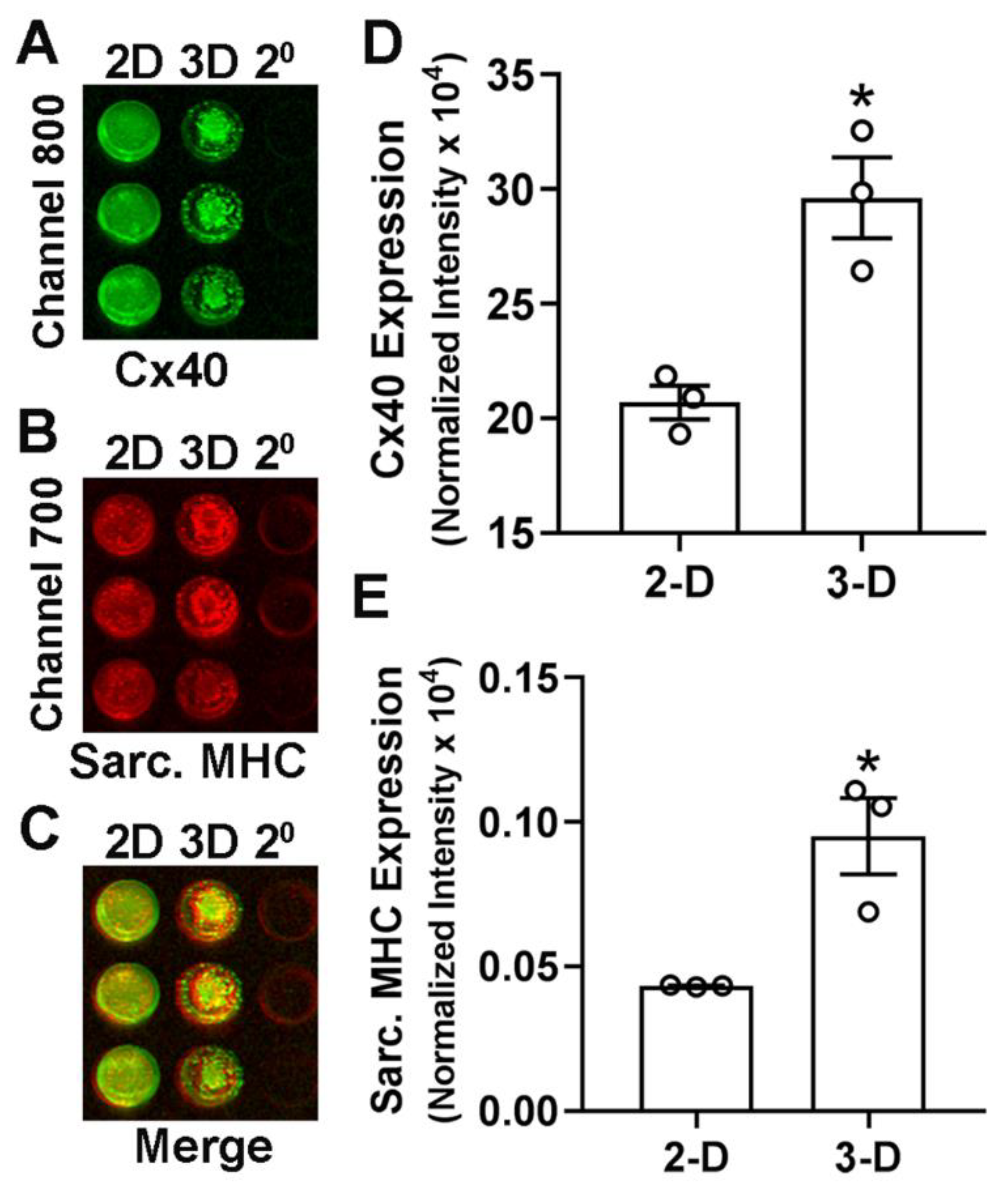 Mps 05 00050 g004 550