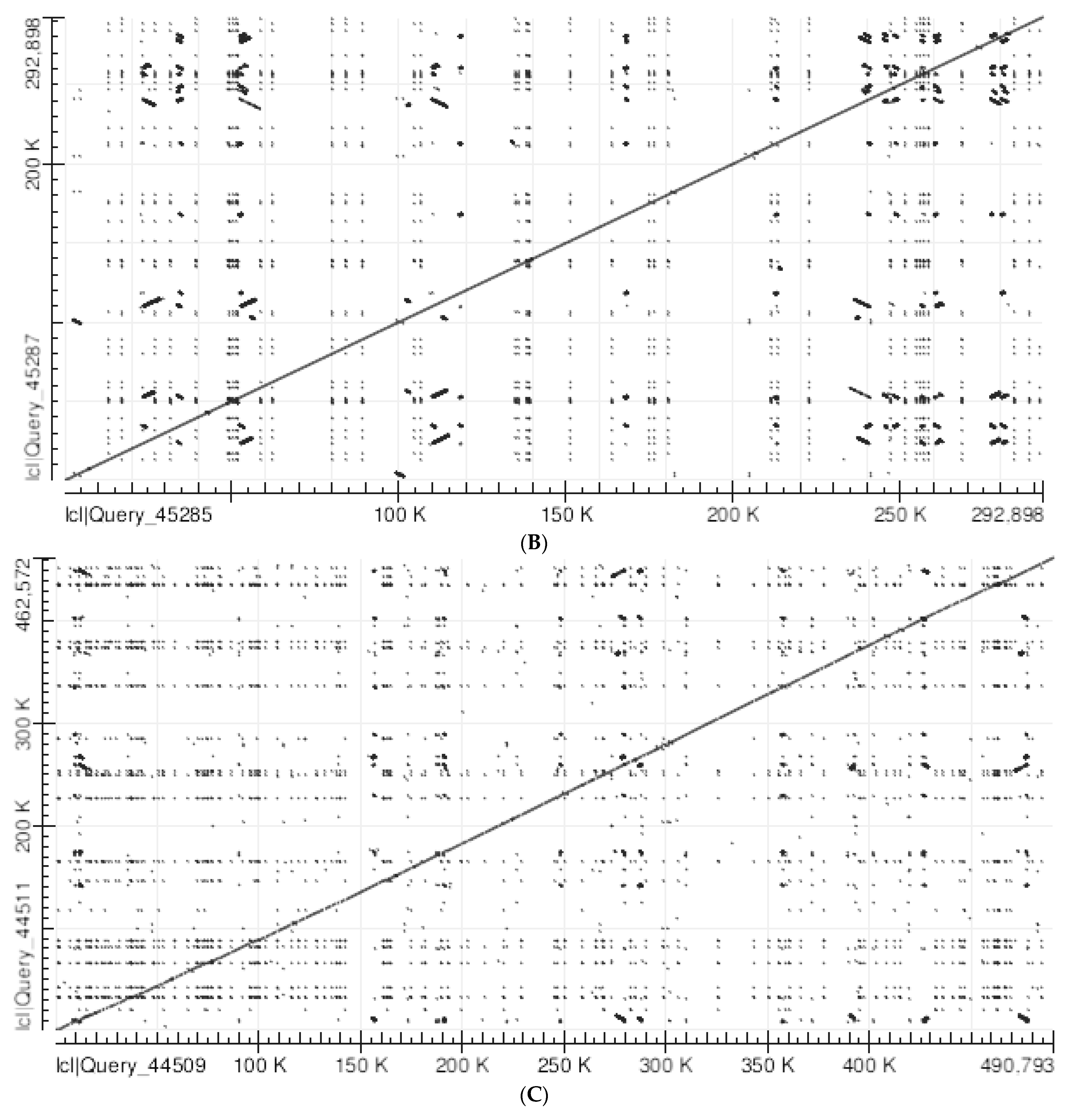 Mps 05 00053 g001b Mps 05 00053 g001b