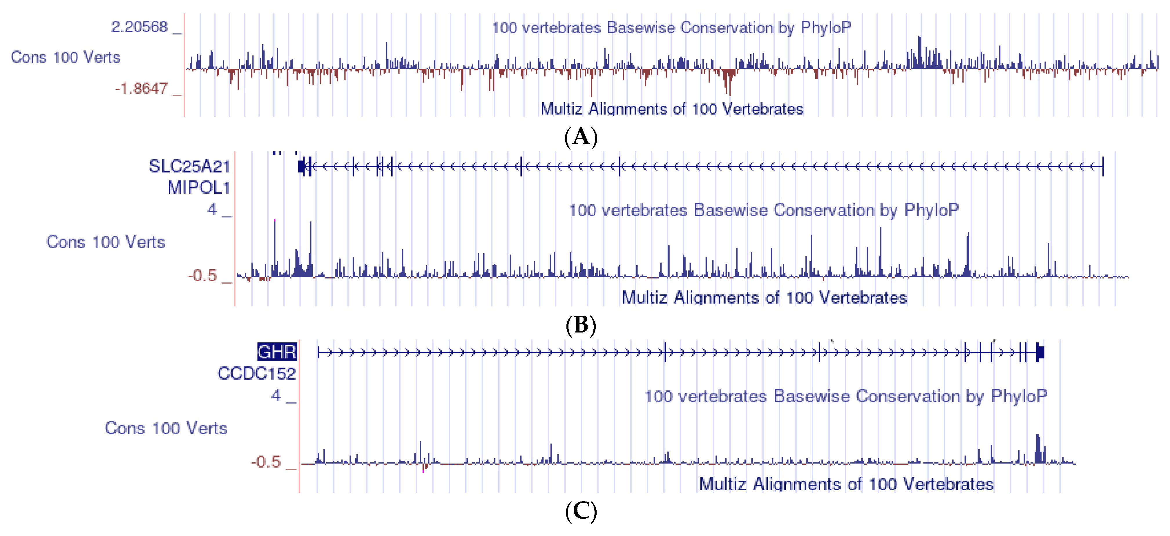 Mps 05 00053 g006 Mps 05 00053 g006