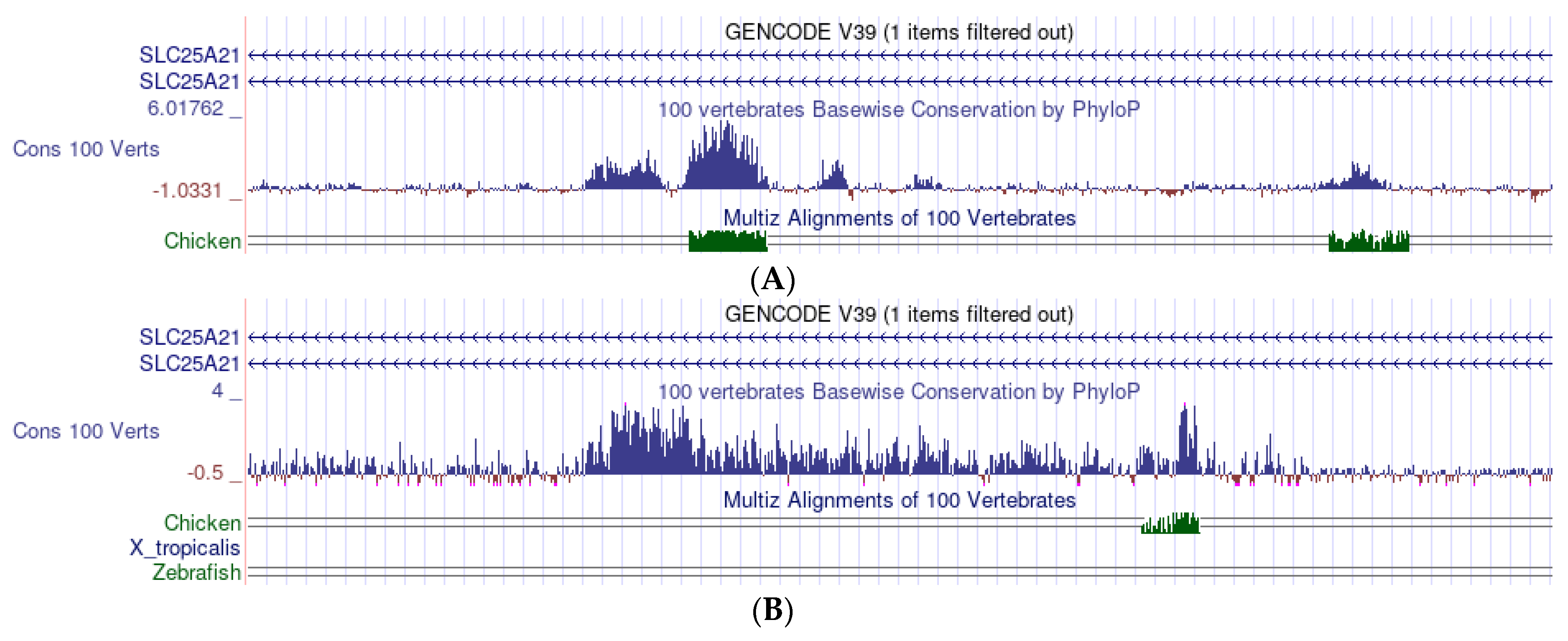 Mps 05 00053 g007 Mps 05 00053 g007