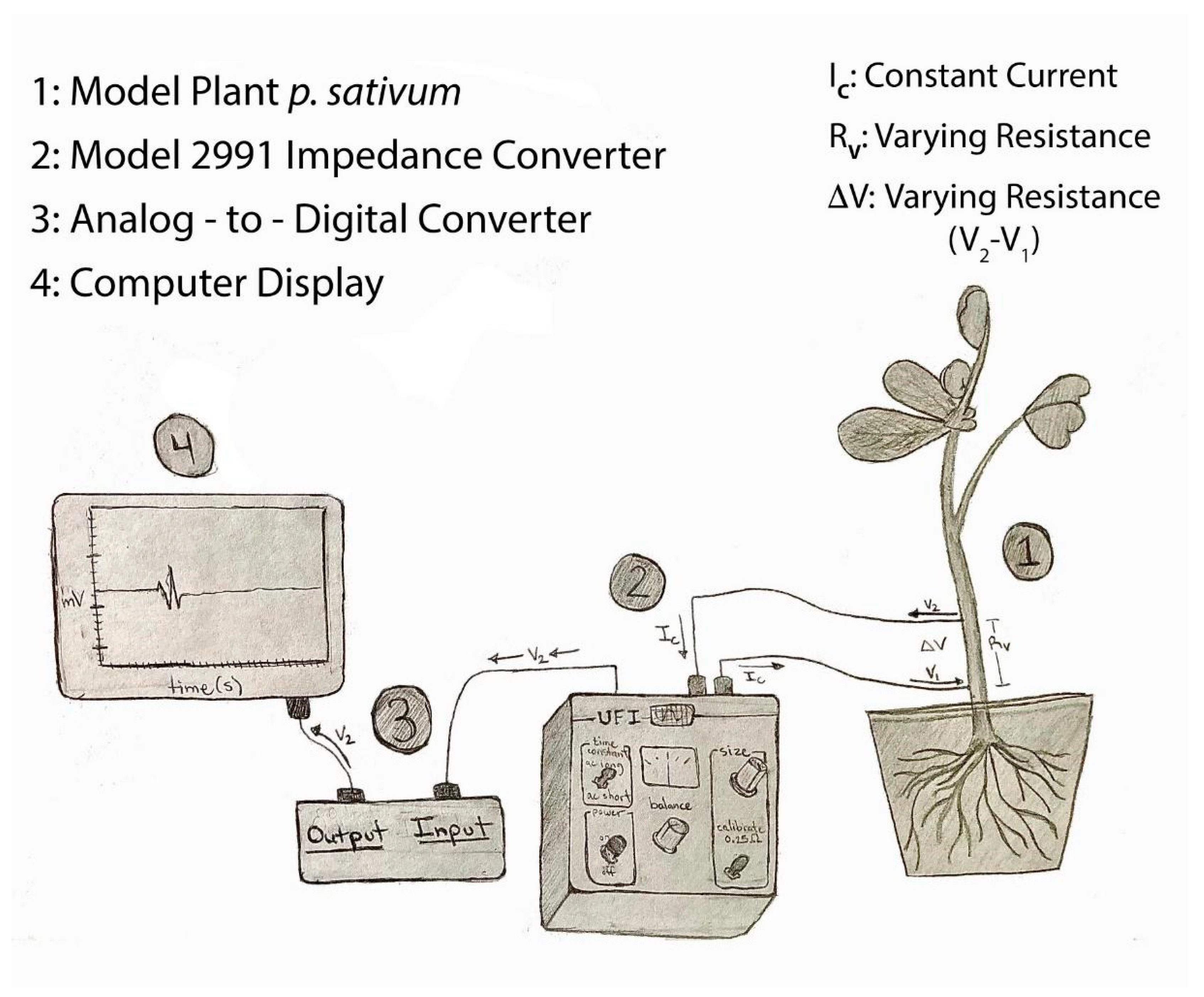 Mps 05 00056 g001 550