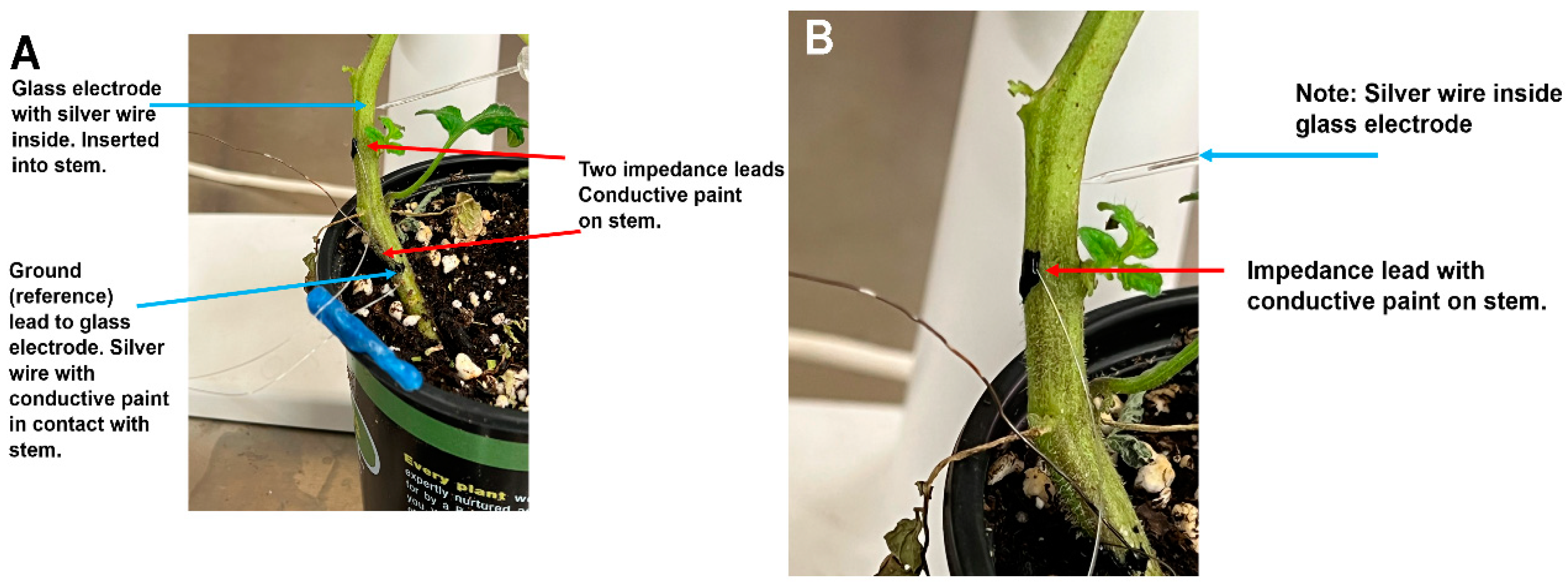 Mps 05 00056 g002 550