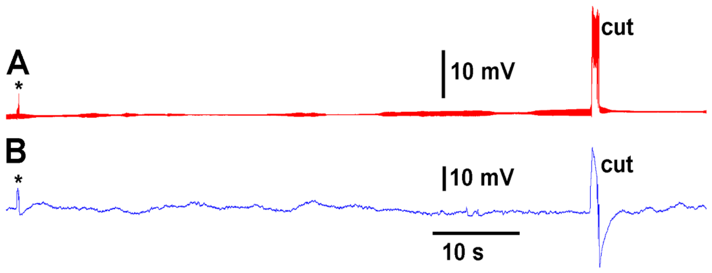 Mps 05 00056 g003 550