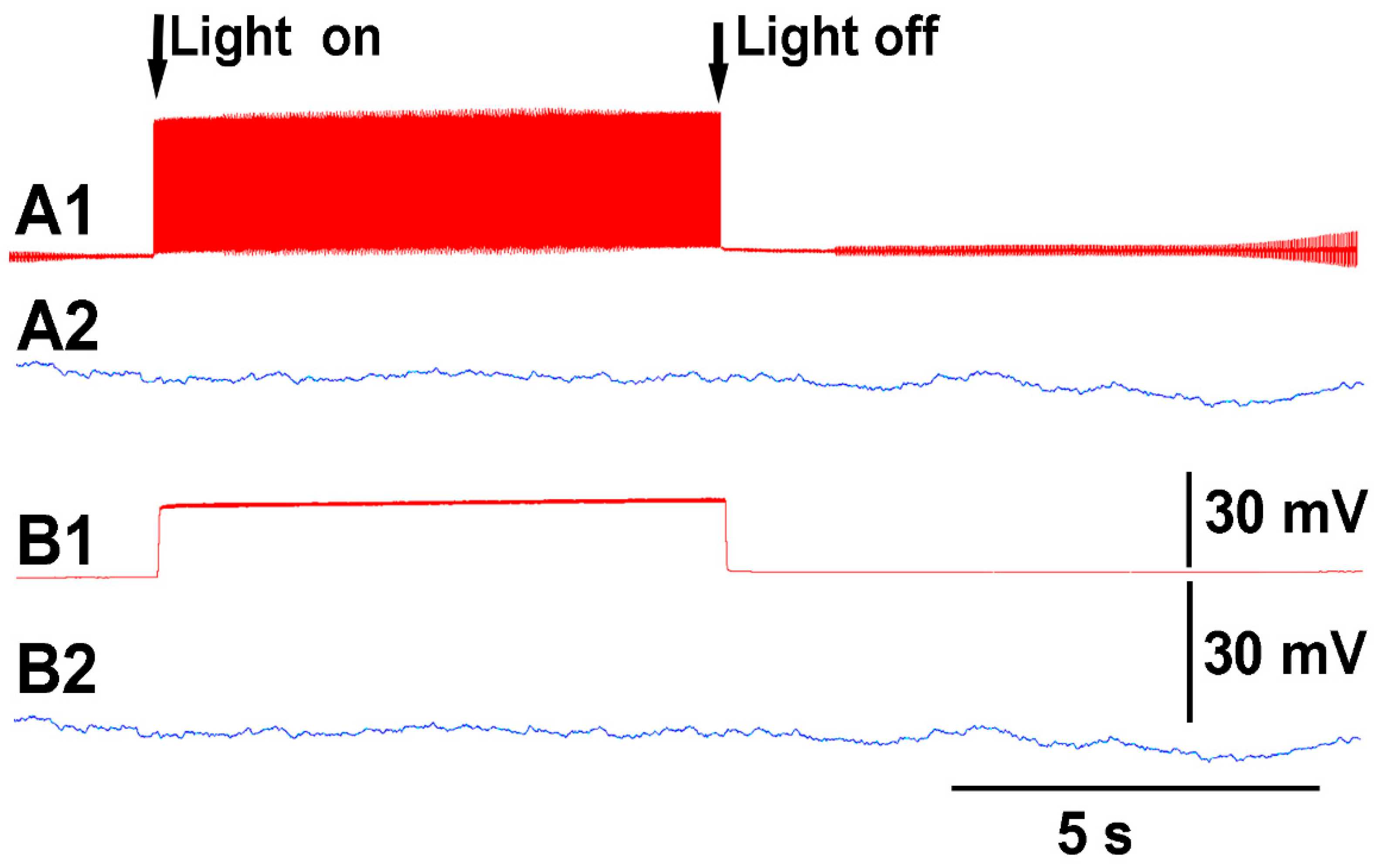 Mps 05 00056 g004 550