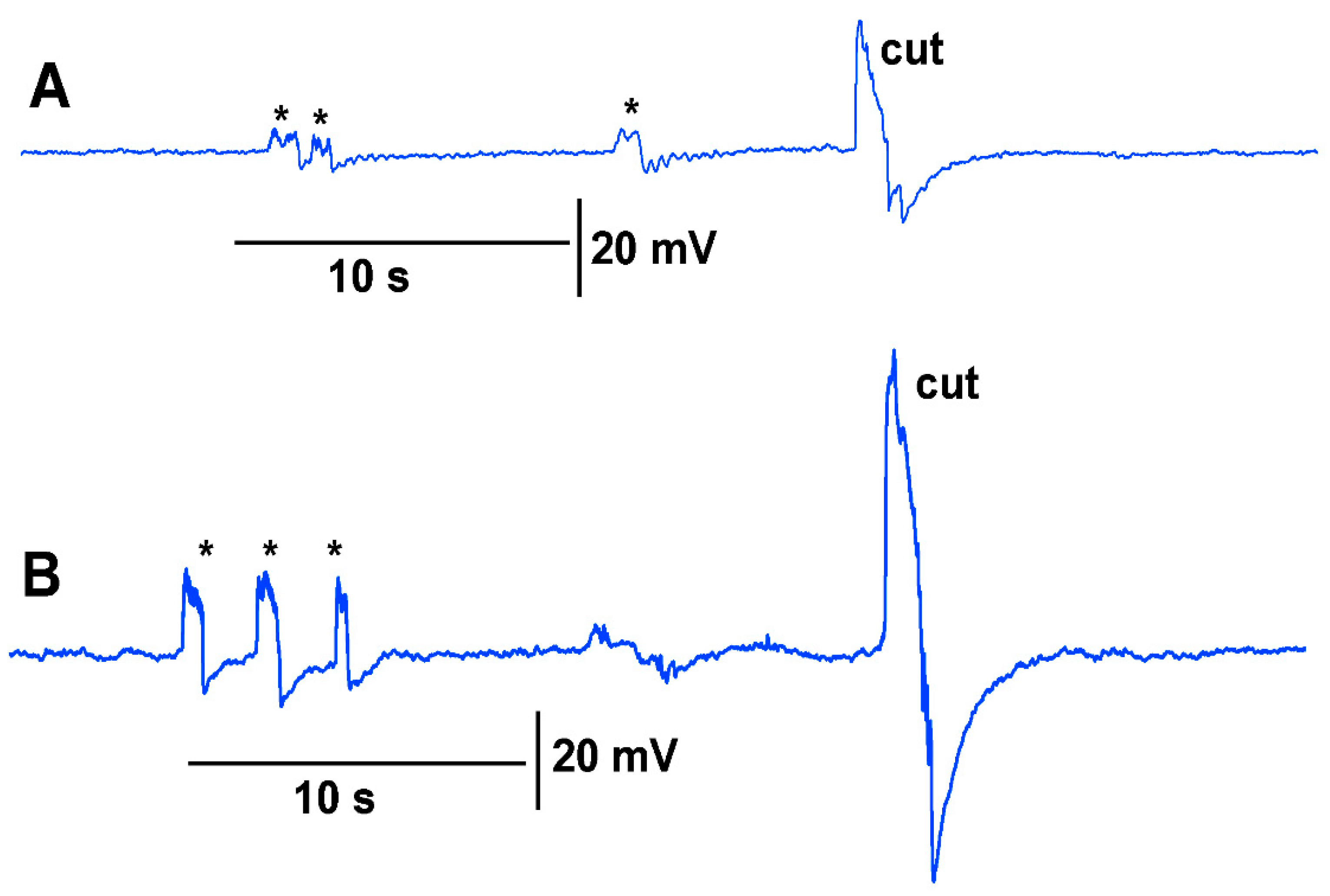 Mps 05 00056 g005 550
