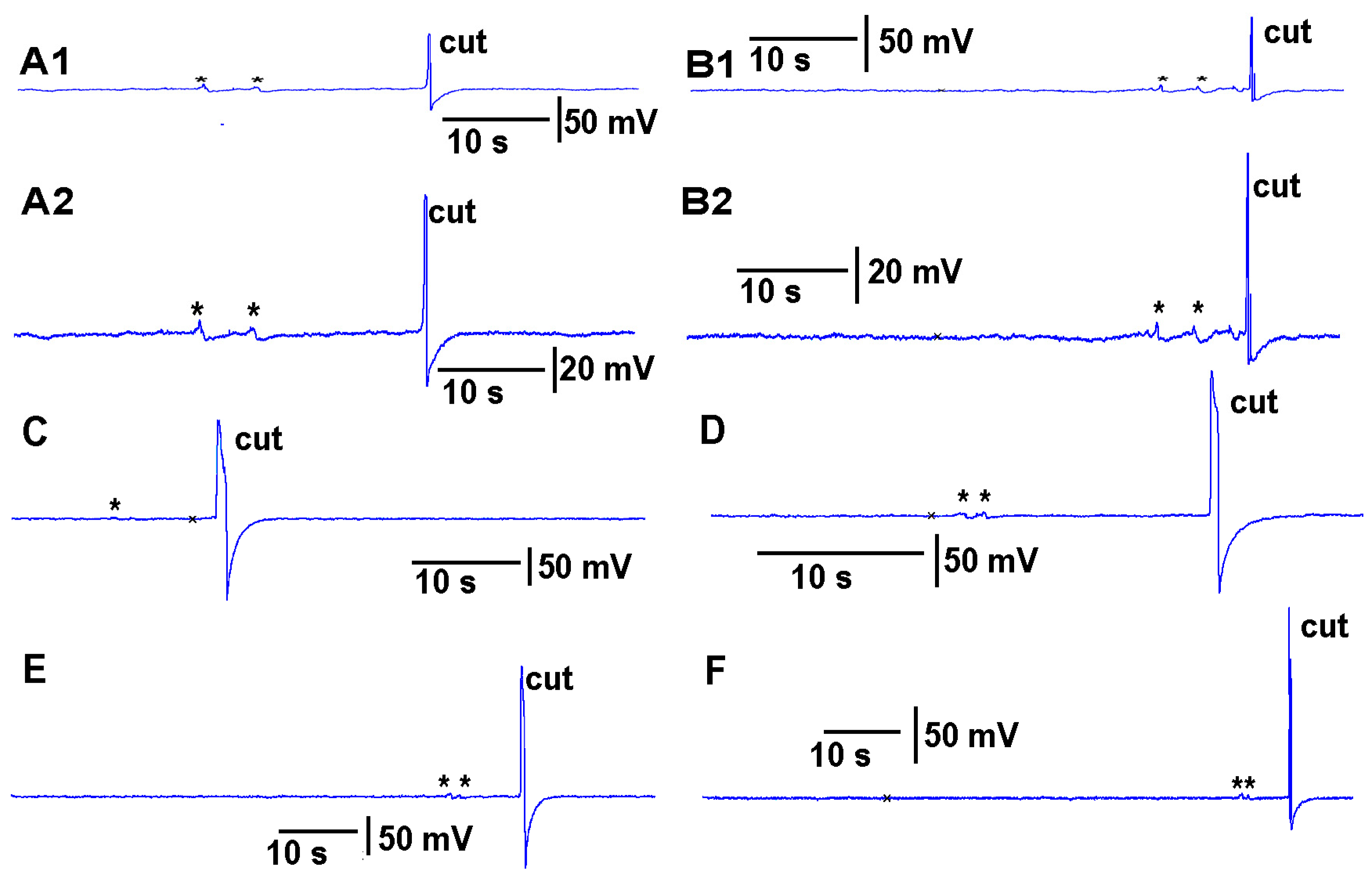 Mps 05 00056 g006 550