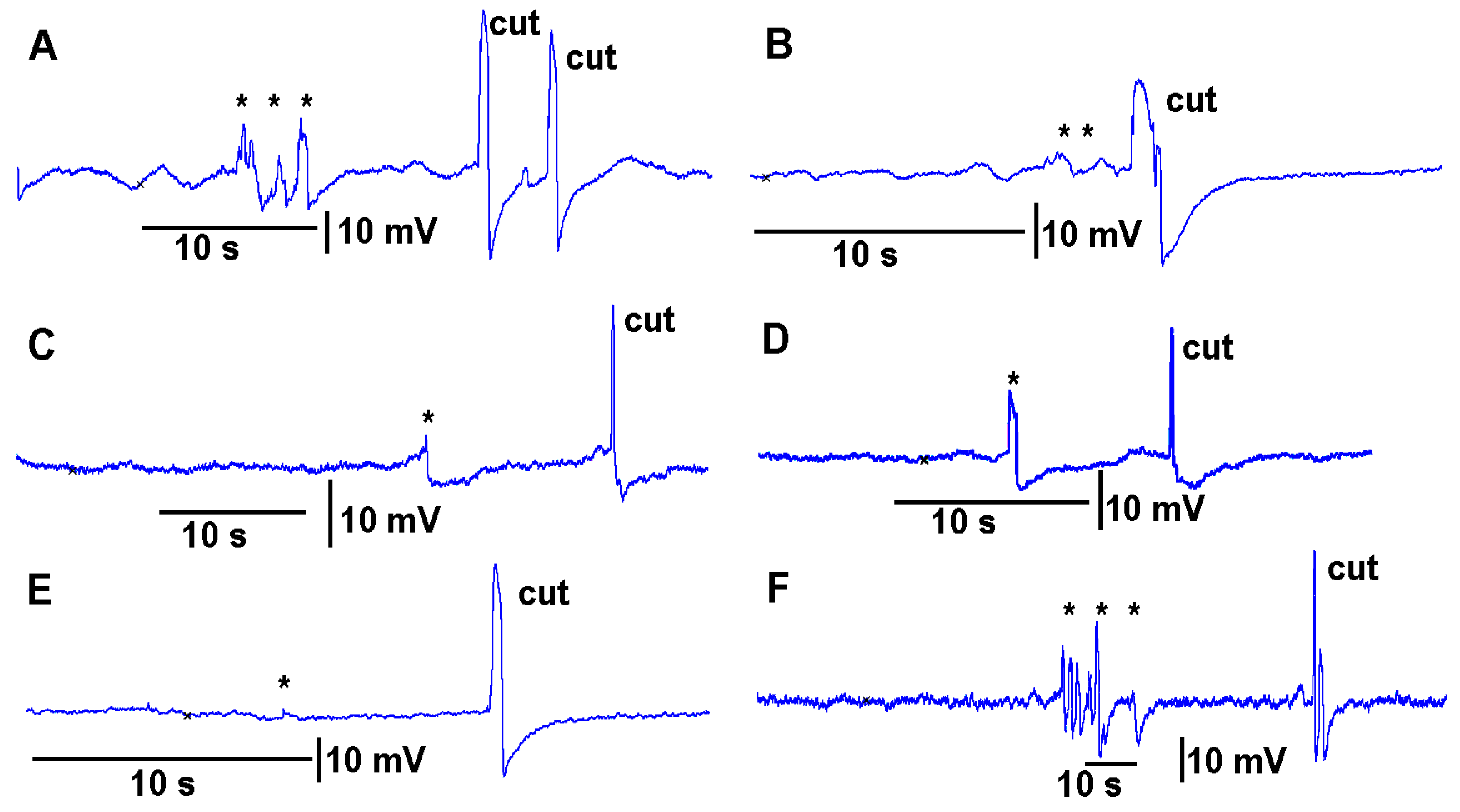 Mps 05 00056 g007 550