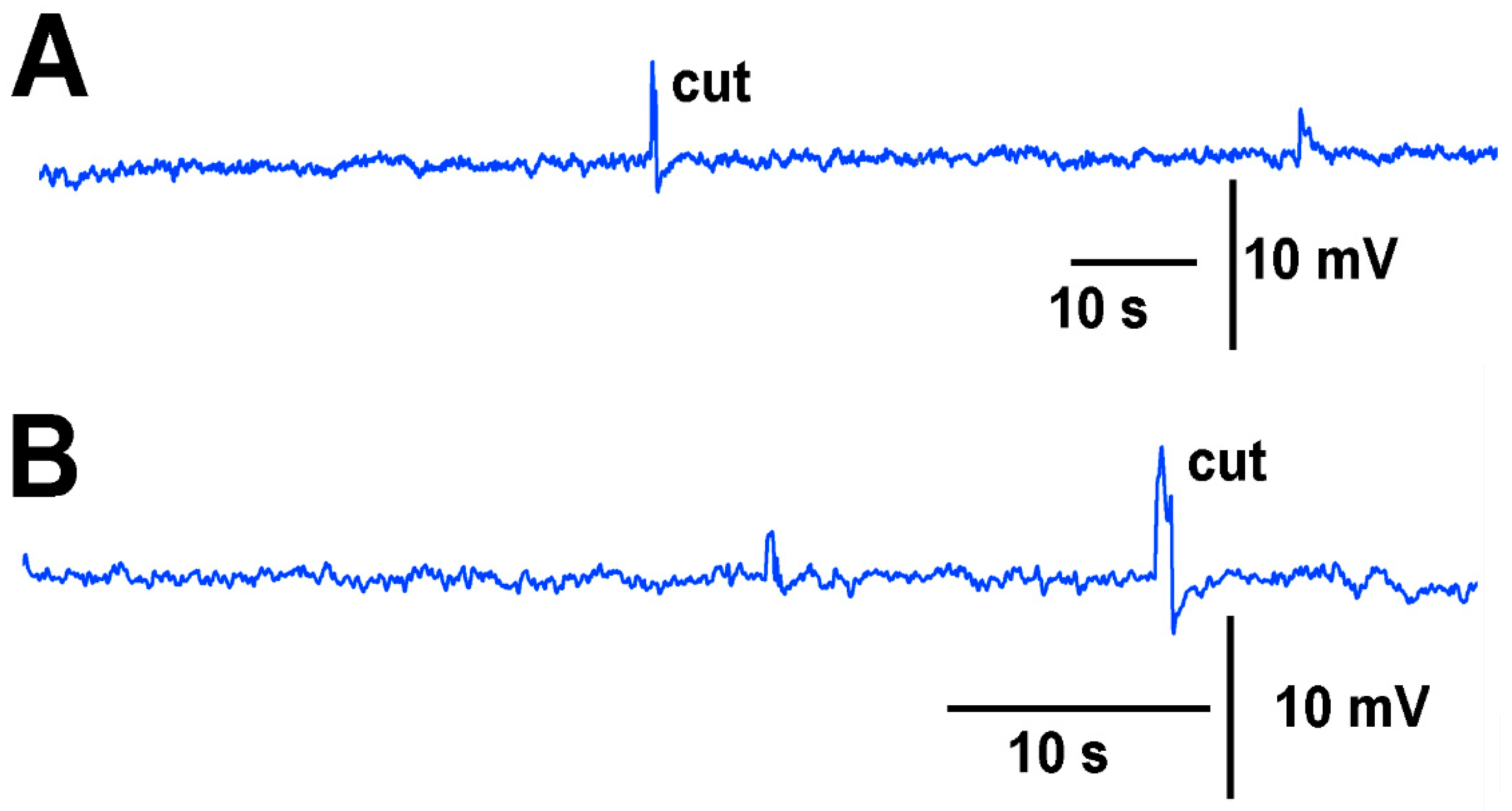 Mps 05 00056 g011 550