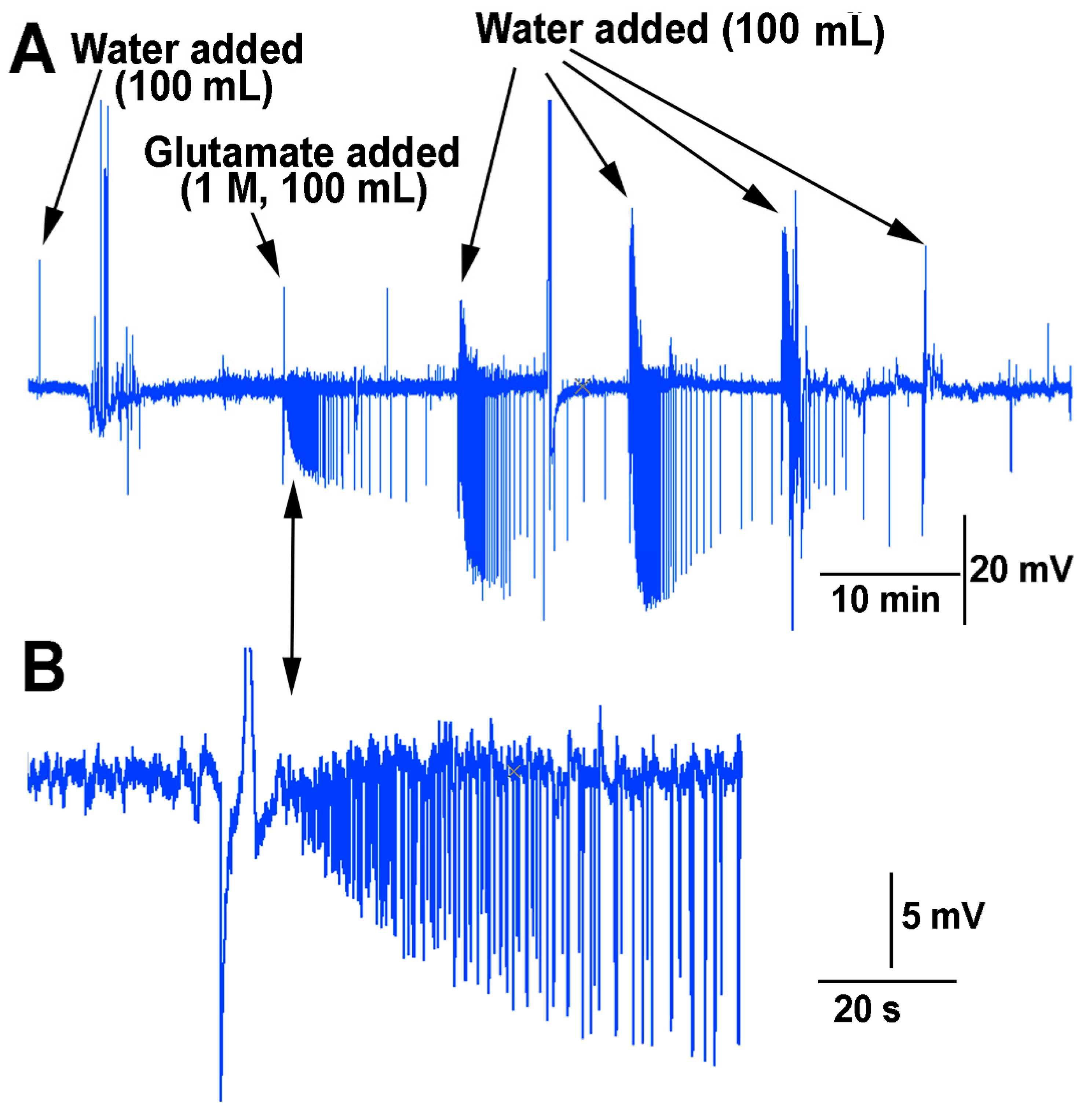 Mps 05 00056 g012 550