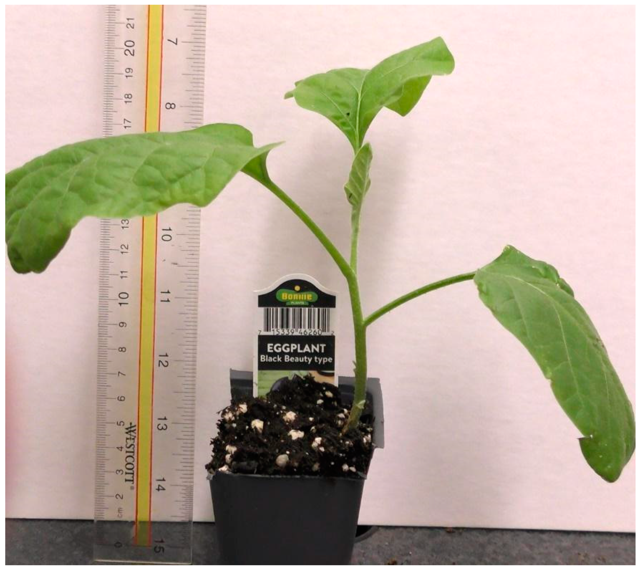 Mps 05 00056 g0a2 550