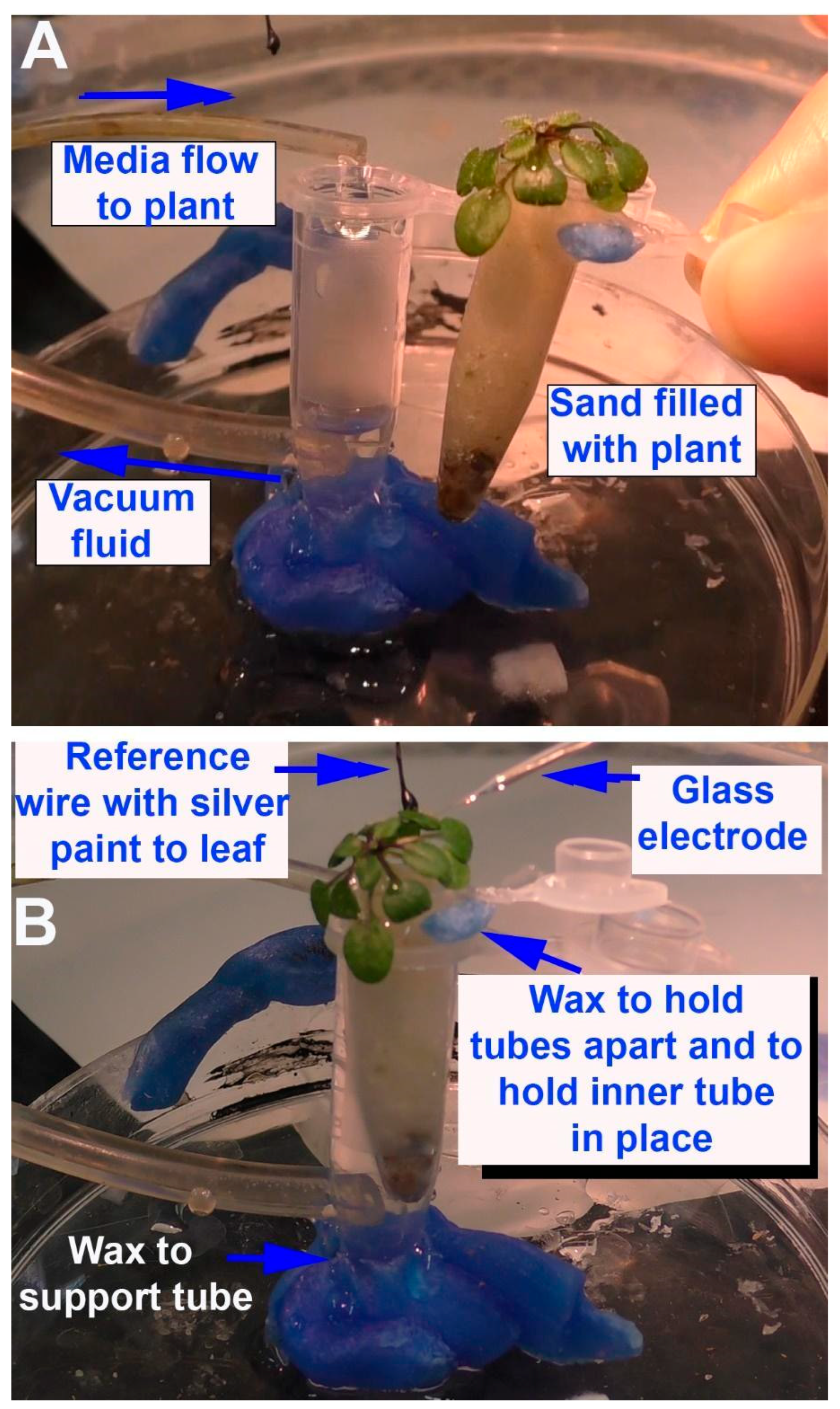 Mps 05 00062 g001 550