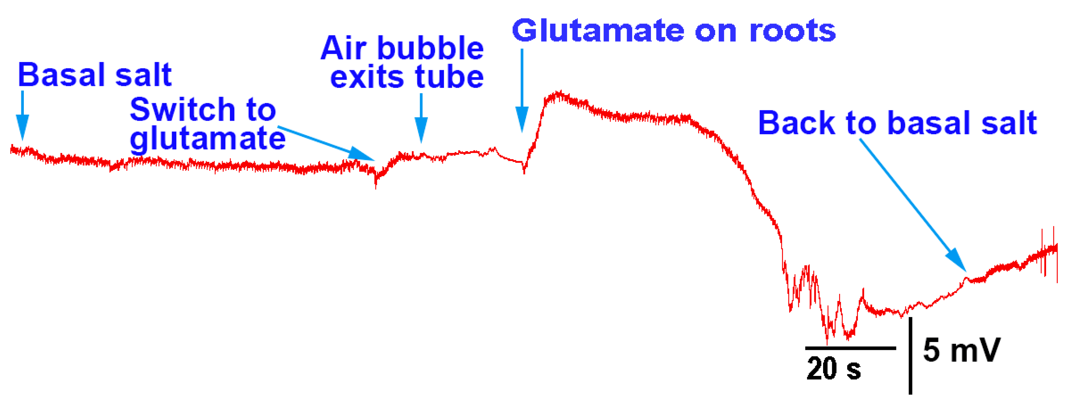 Mps 05 00062 g006 550