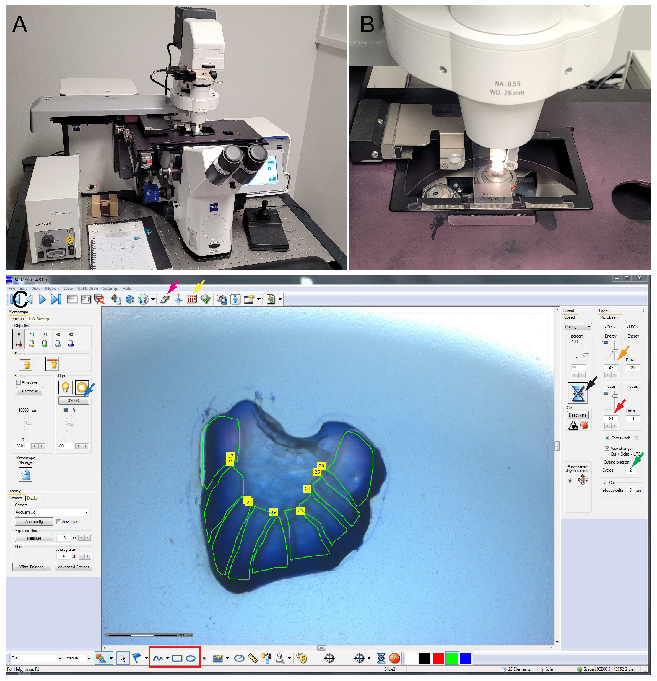 Mps 05 00067 g002 550