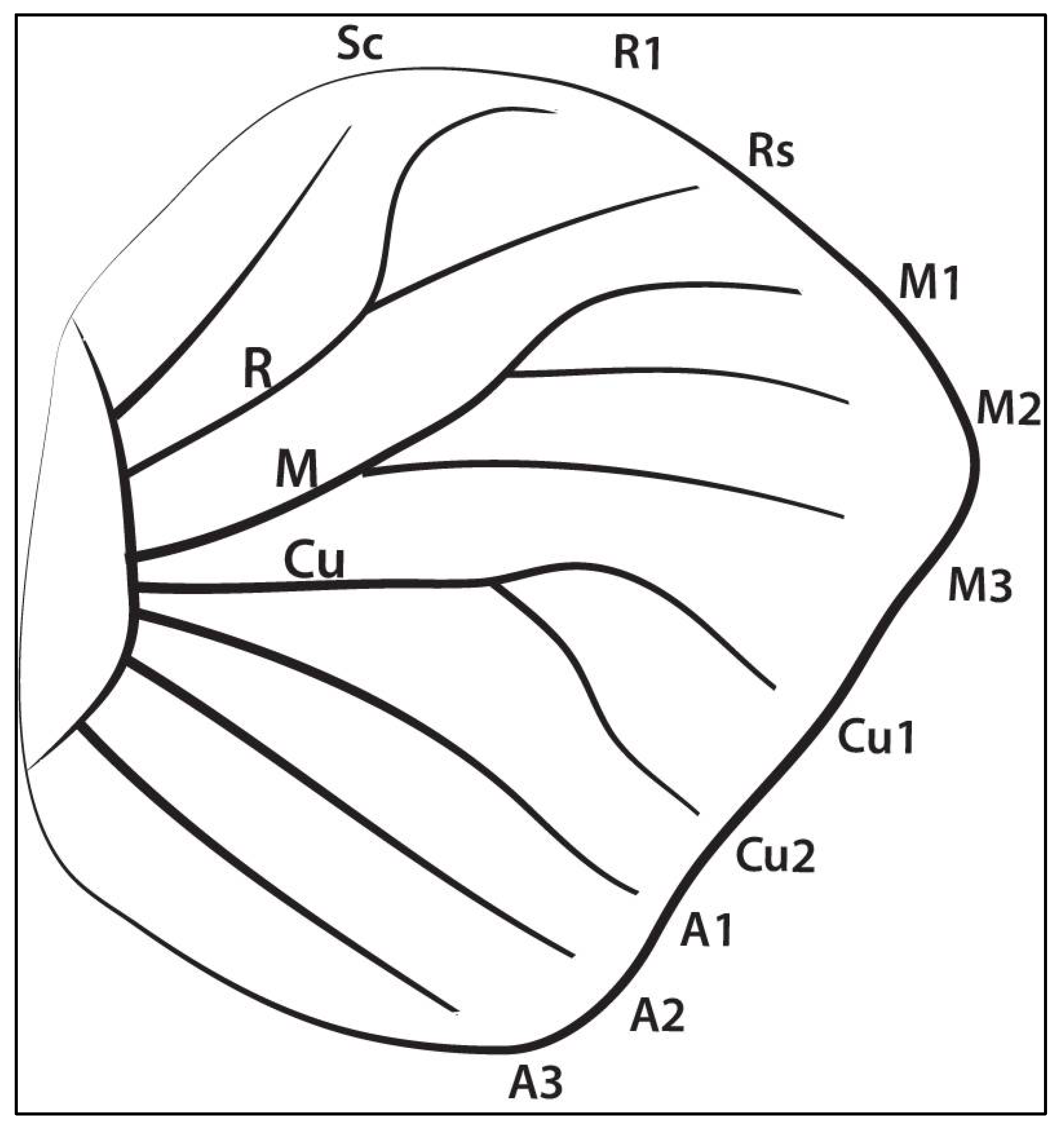 Mps 05 00067 g004 550
