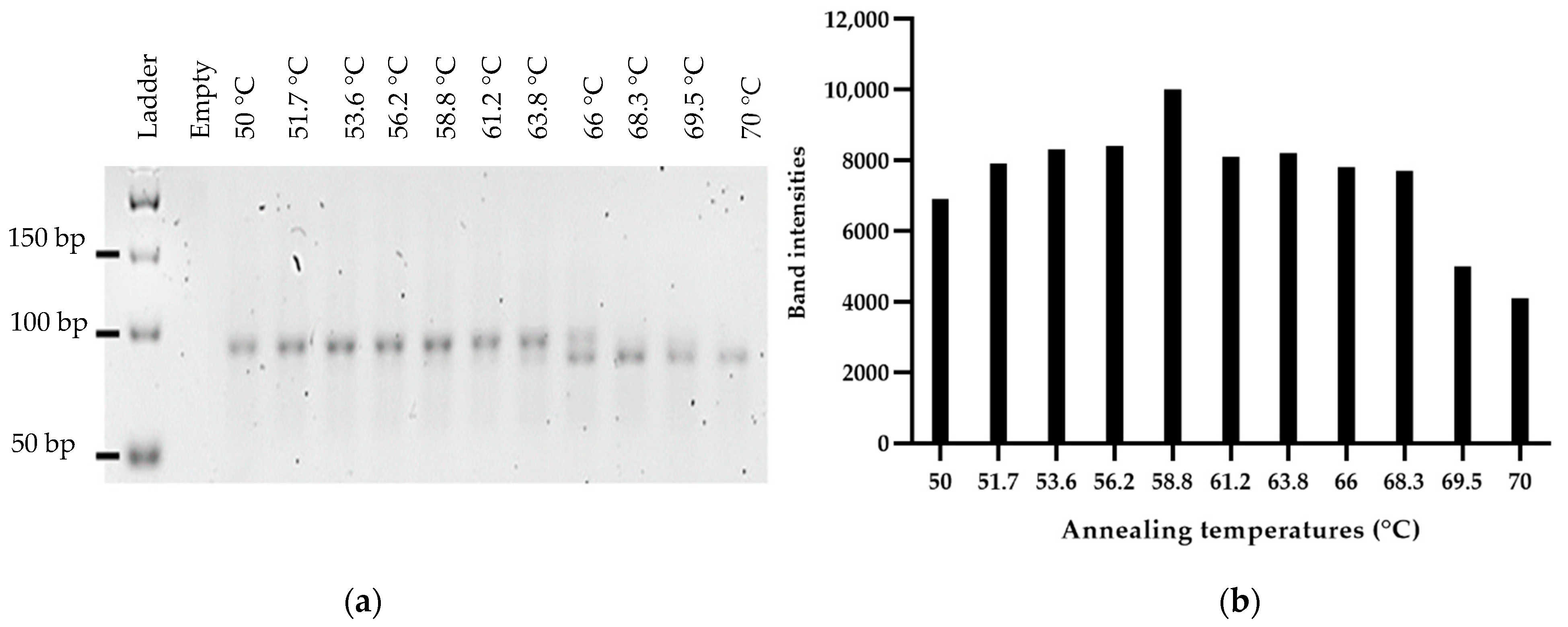 MPs Free FullText Optimized Lambda Exonuclease Digestion or