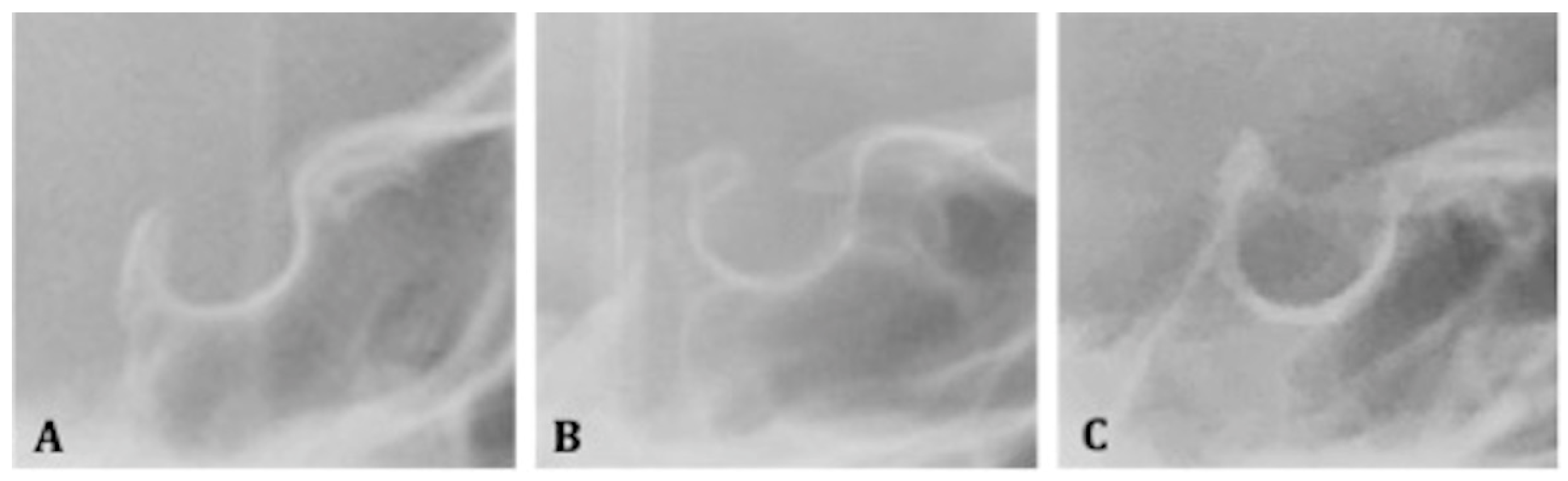 Mps 05 00091 g002 Mps 05 00091 g002