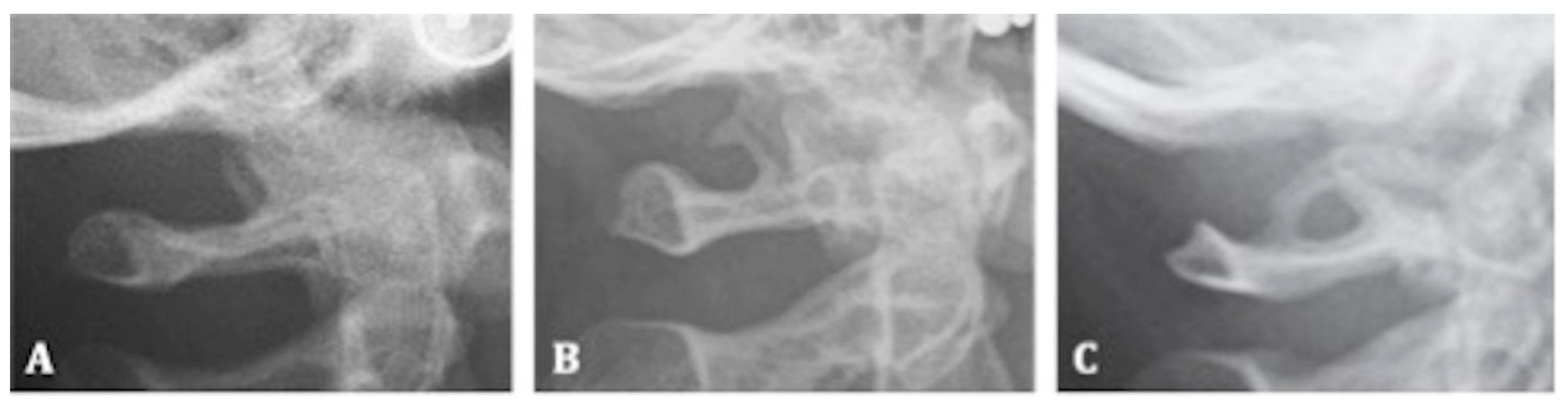 Mps 05 00091 g004 Mps 05 00091 g004