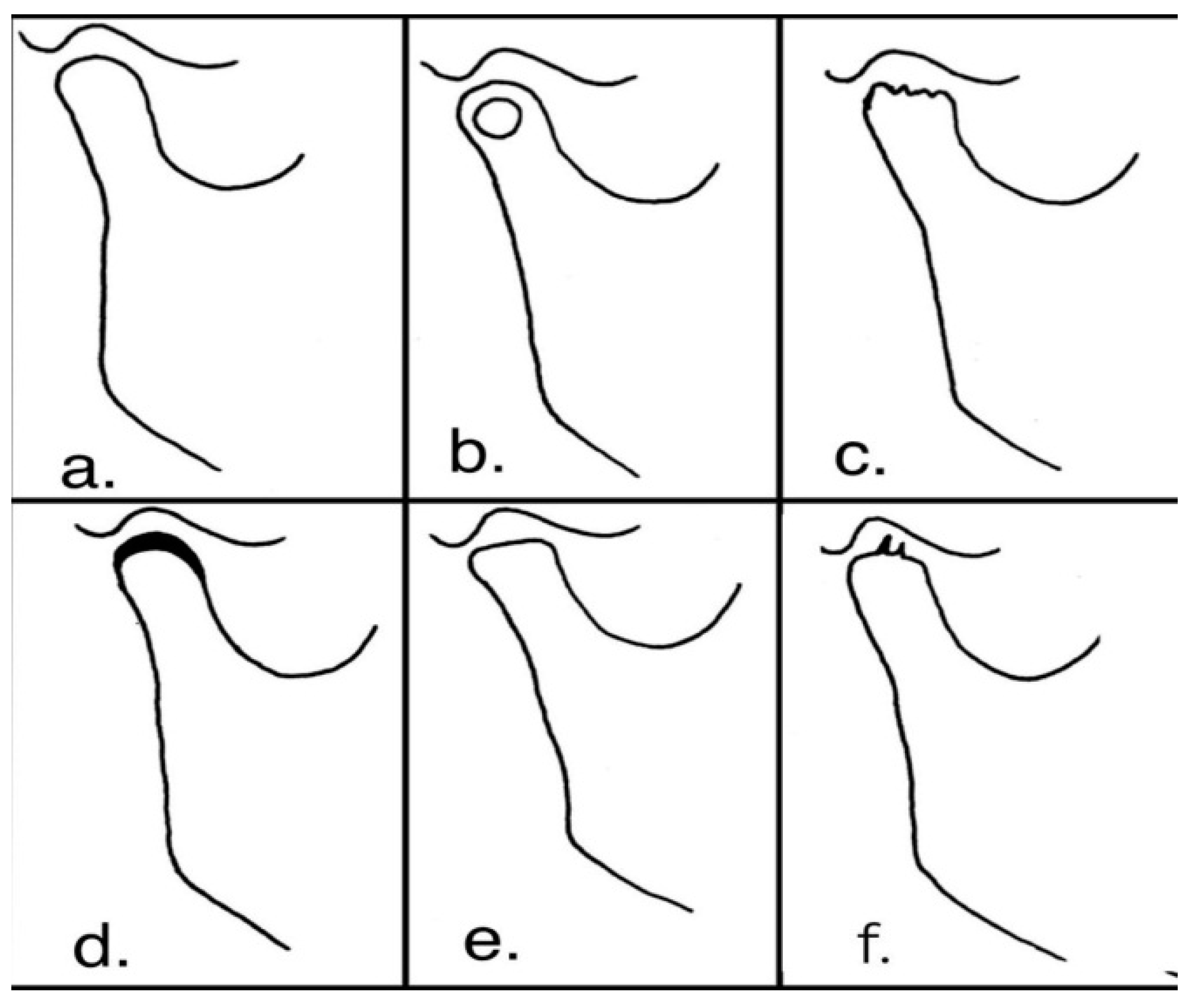 Mps 05 00097 g001 Mps 05 00097 g001