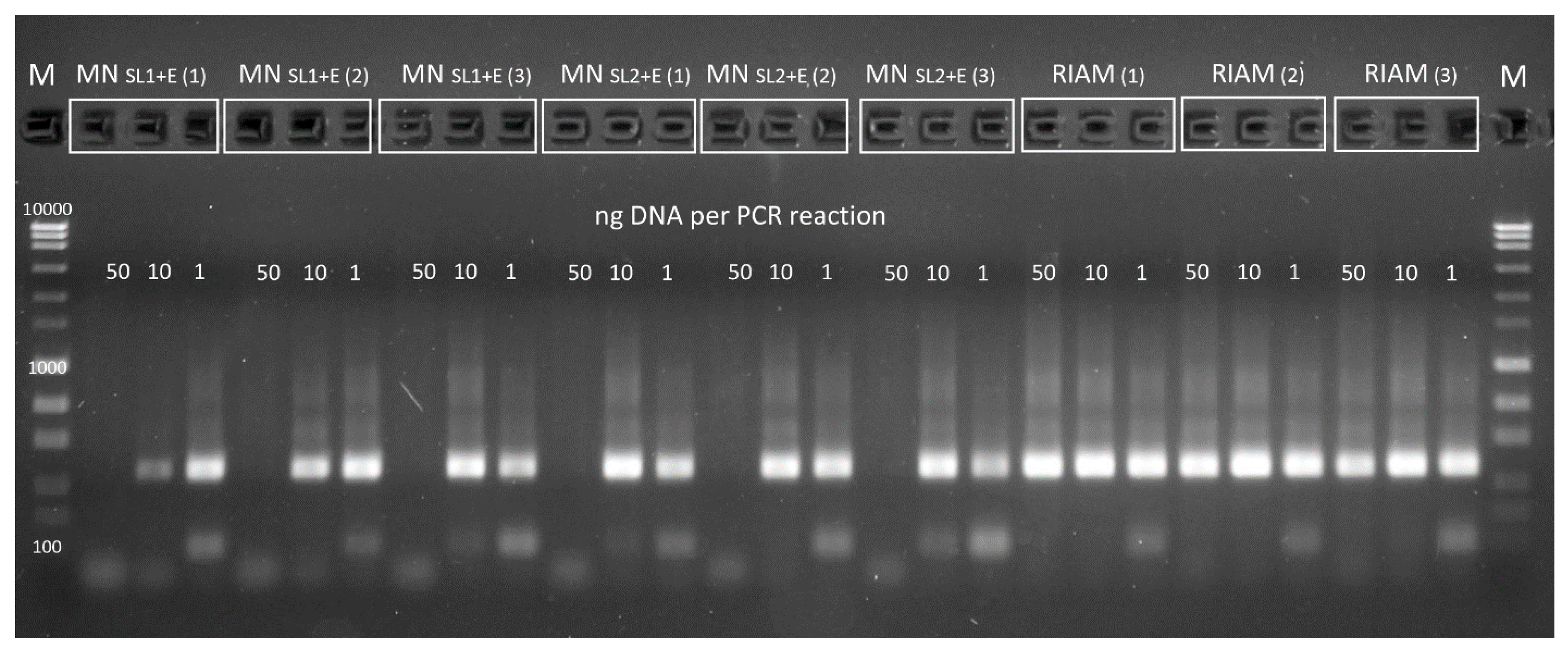 Mps 05 00099 g003 Mps 05 00099 g003